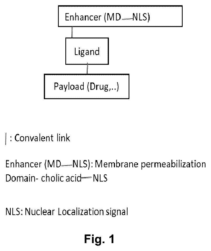 Patent US12350346 Figure 1 – Conjugates enhancing total cellular accumulation