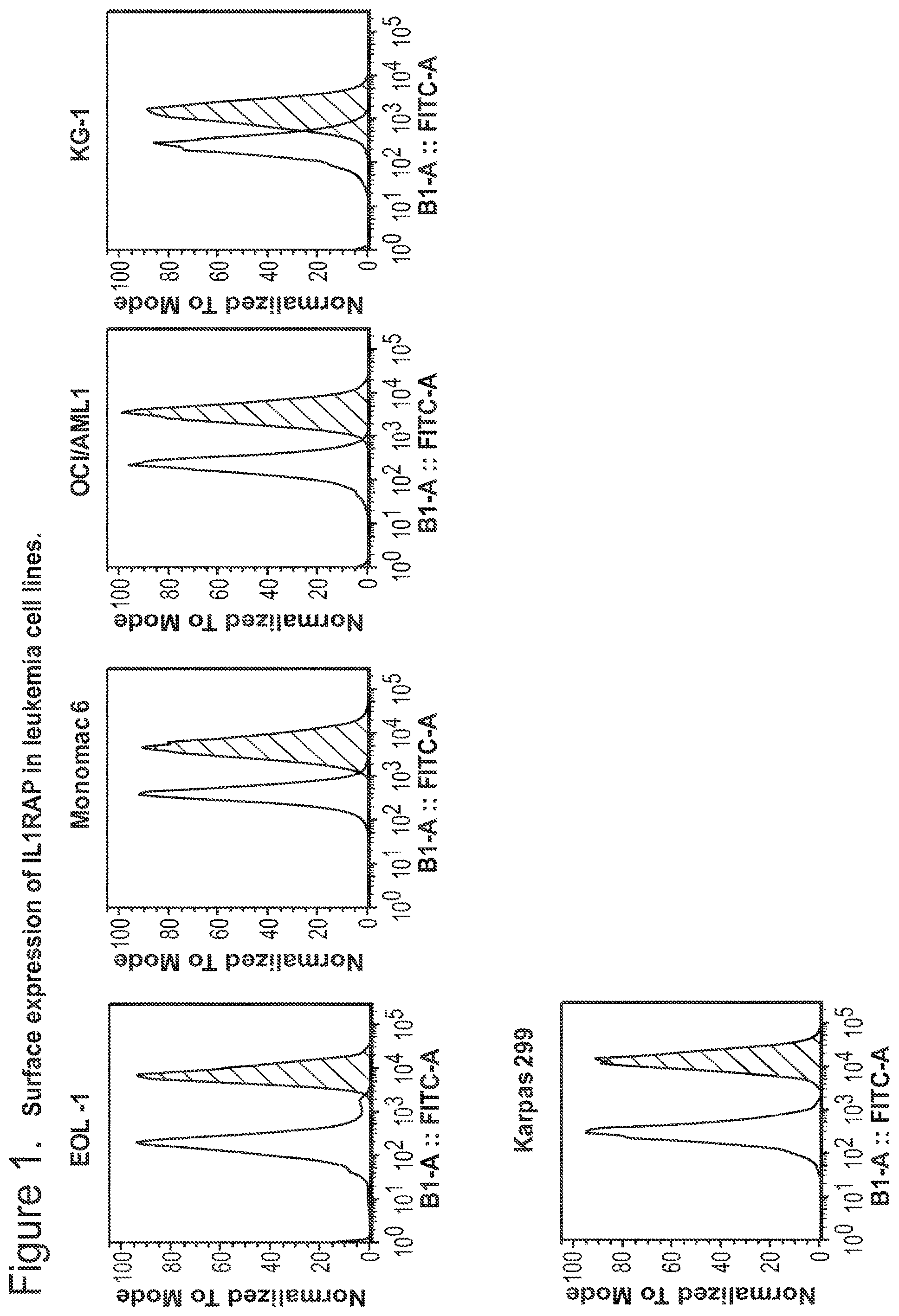 Patent US12350347 Figure 1 – Nucleic acids encoding anti-IL1RAP antibodies and their uses