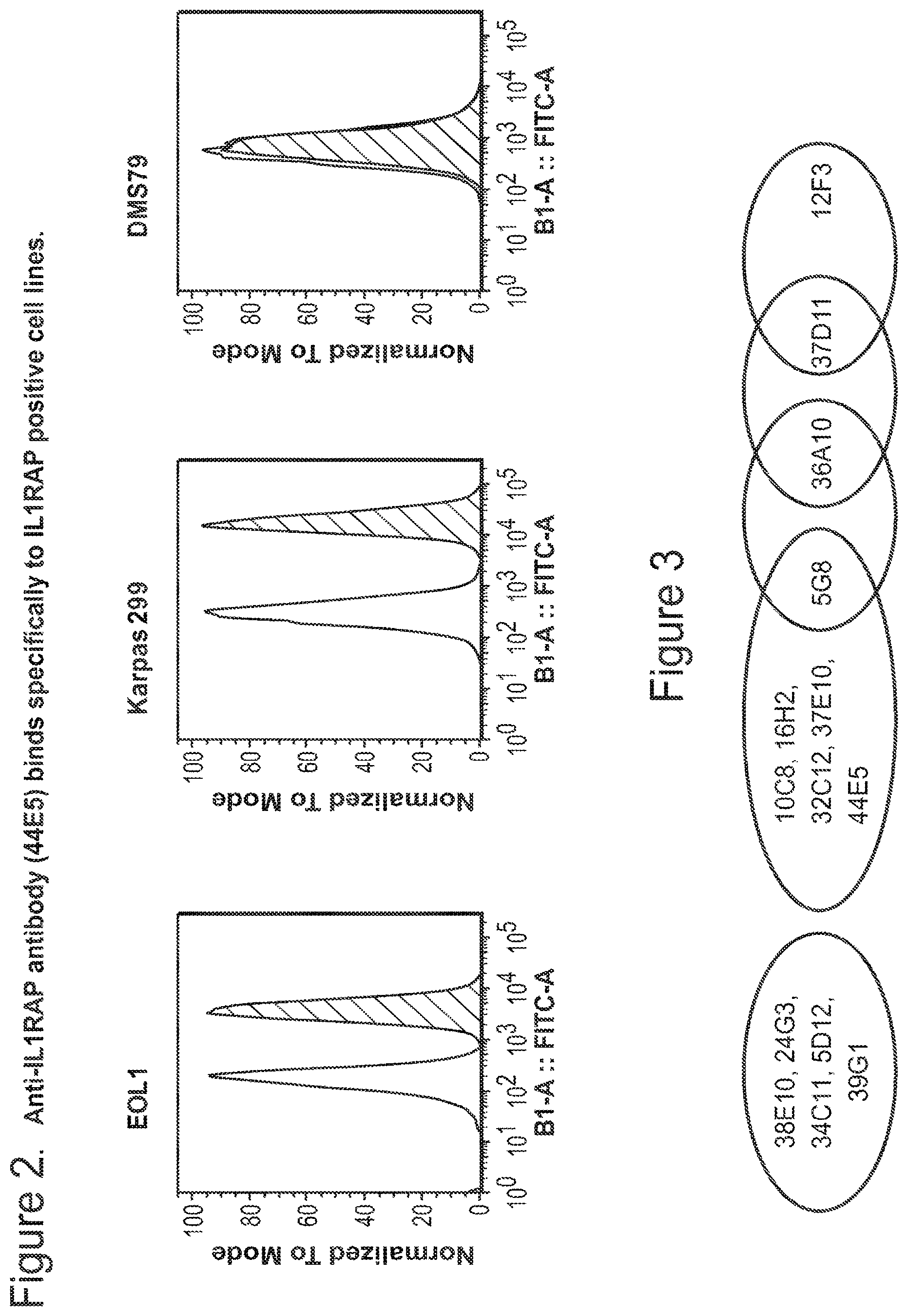 Patent US12350347 Figure 2 – Nucleic acids encoding anti-IL1RAP antibodies and their uses