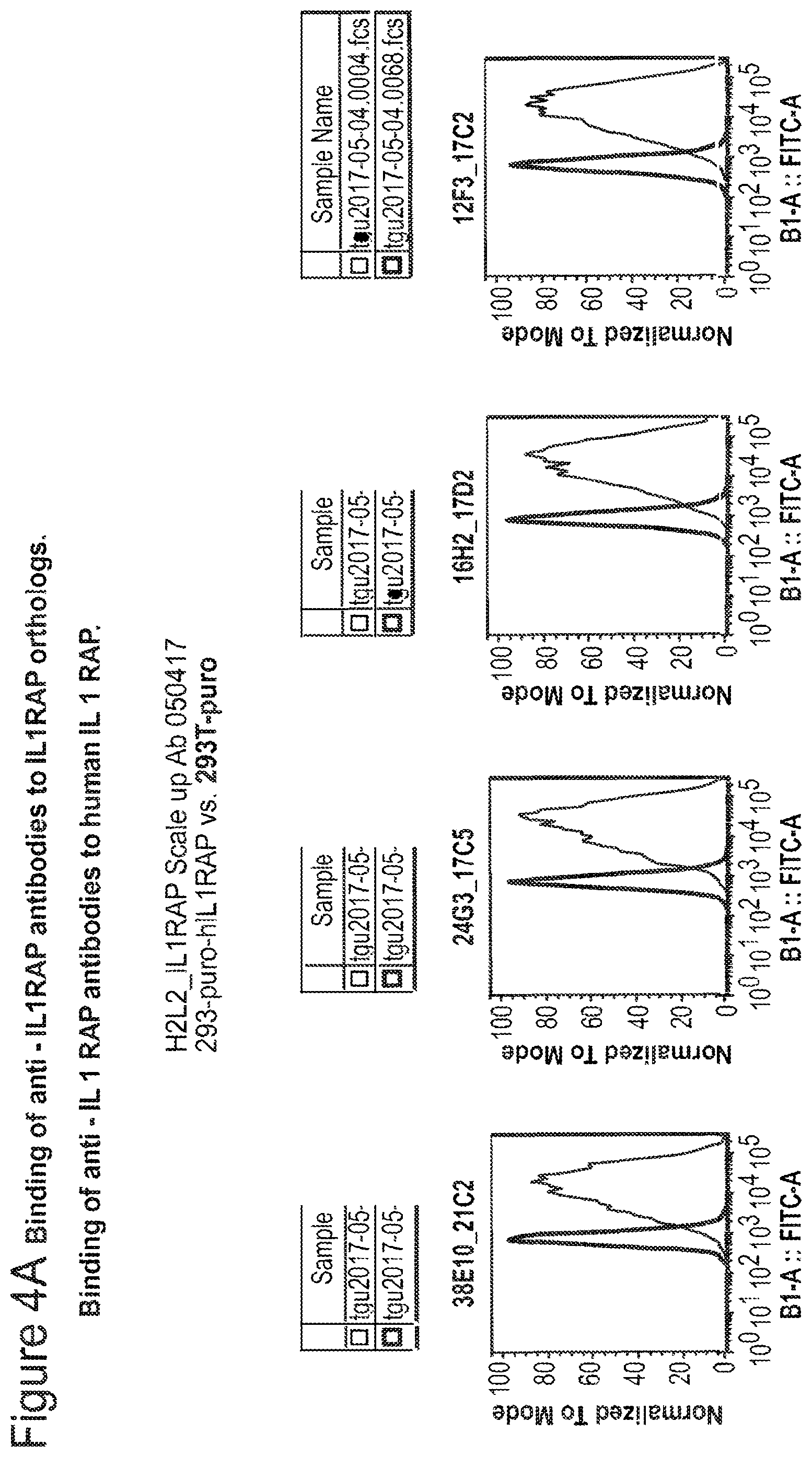 Patent US12350347 Figure 3 – Nucleic acids encoding anti-IL1RAP antibodies and their uses