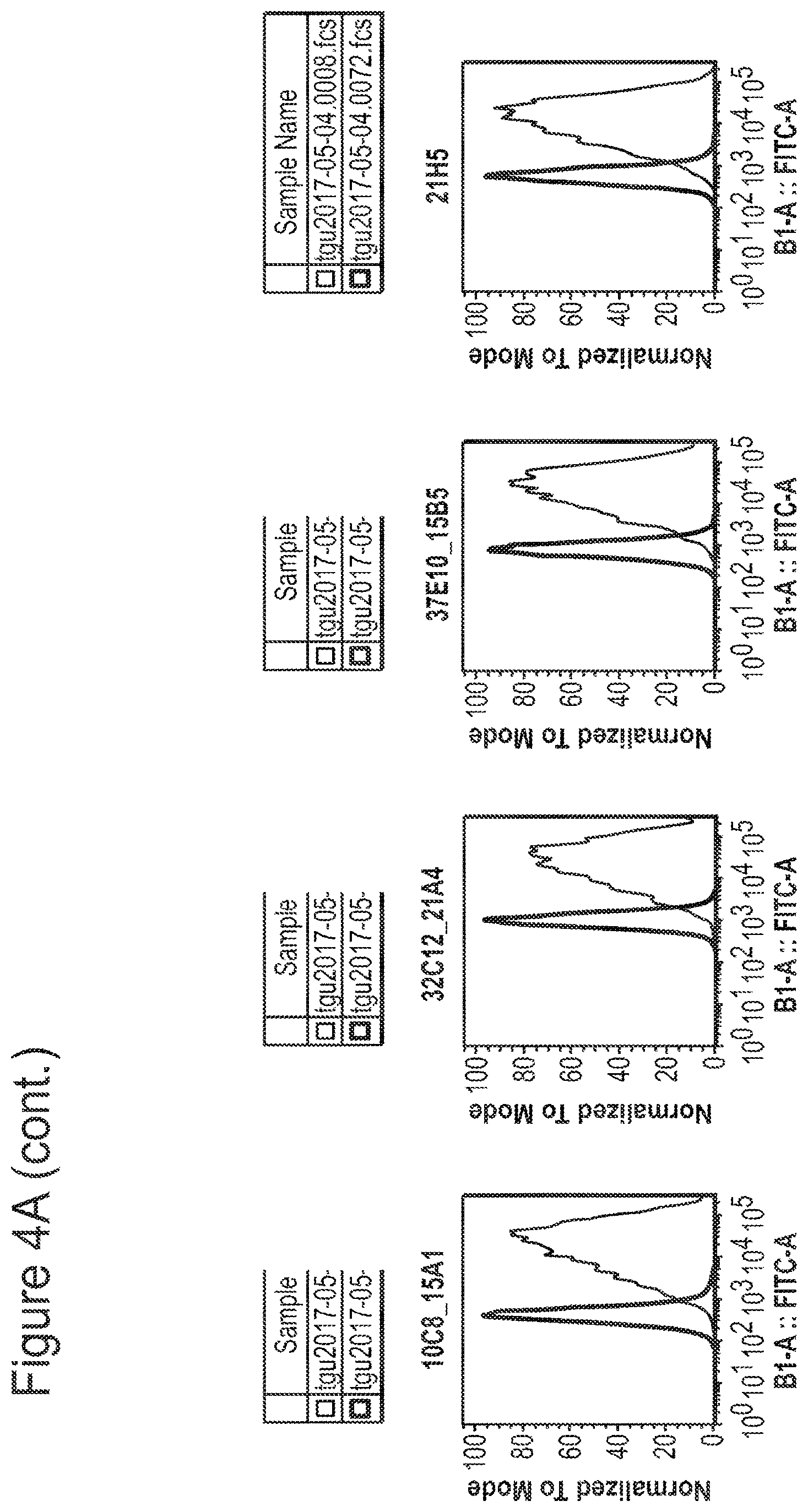Patent US12350347 Figure 4 – Nucleic acids encoding anti-IL1RAP antibodies and their uses