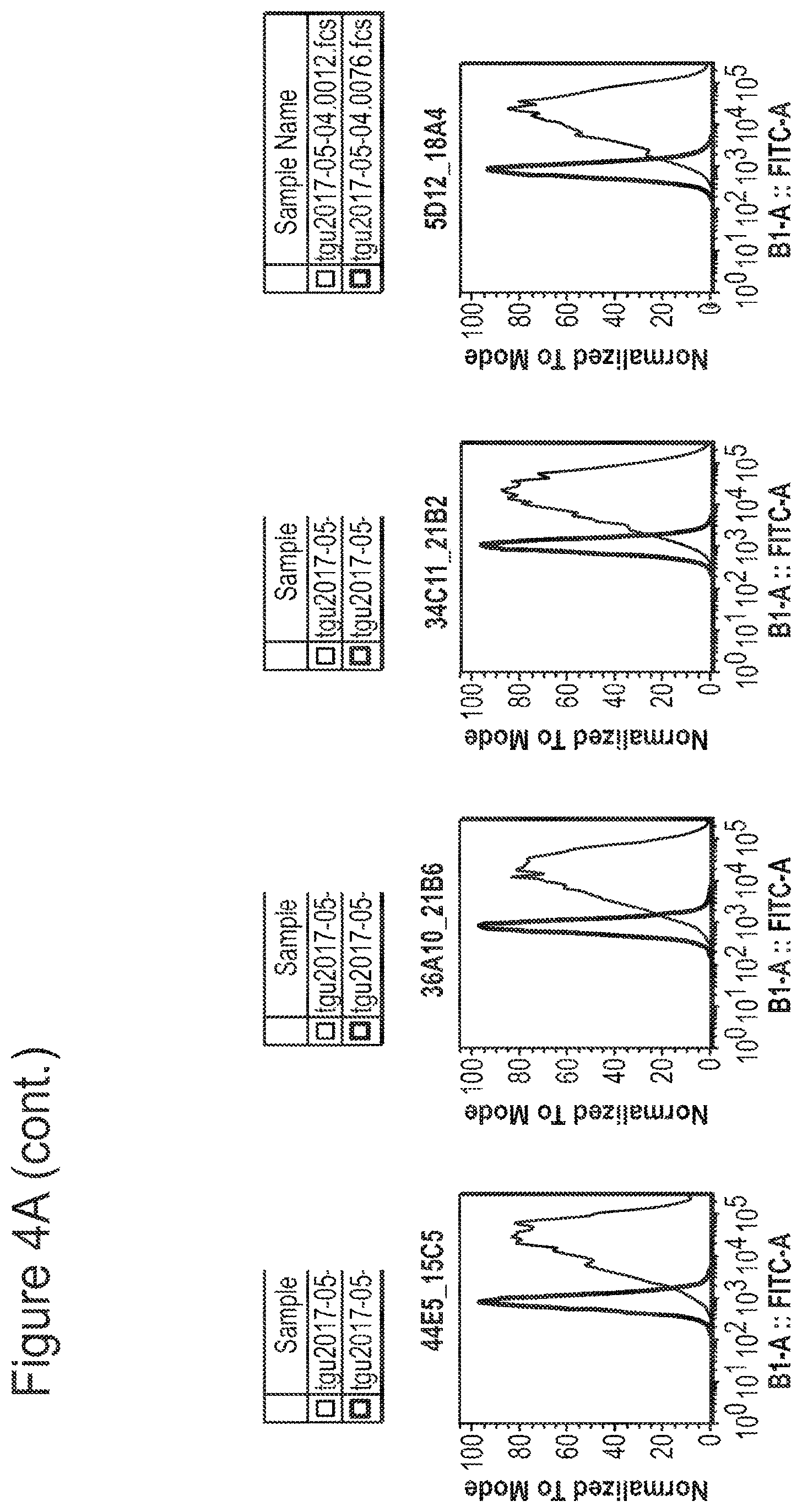 Patent US12350347 Figure 5 – Nucleic acids encoding anti-IL1RAP antibodies and their uses