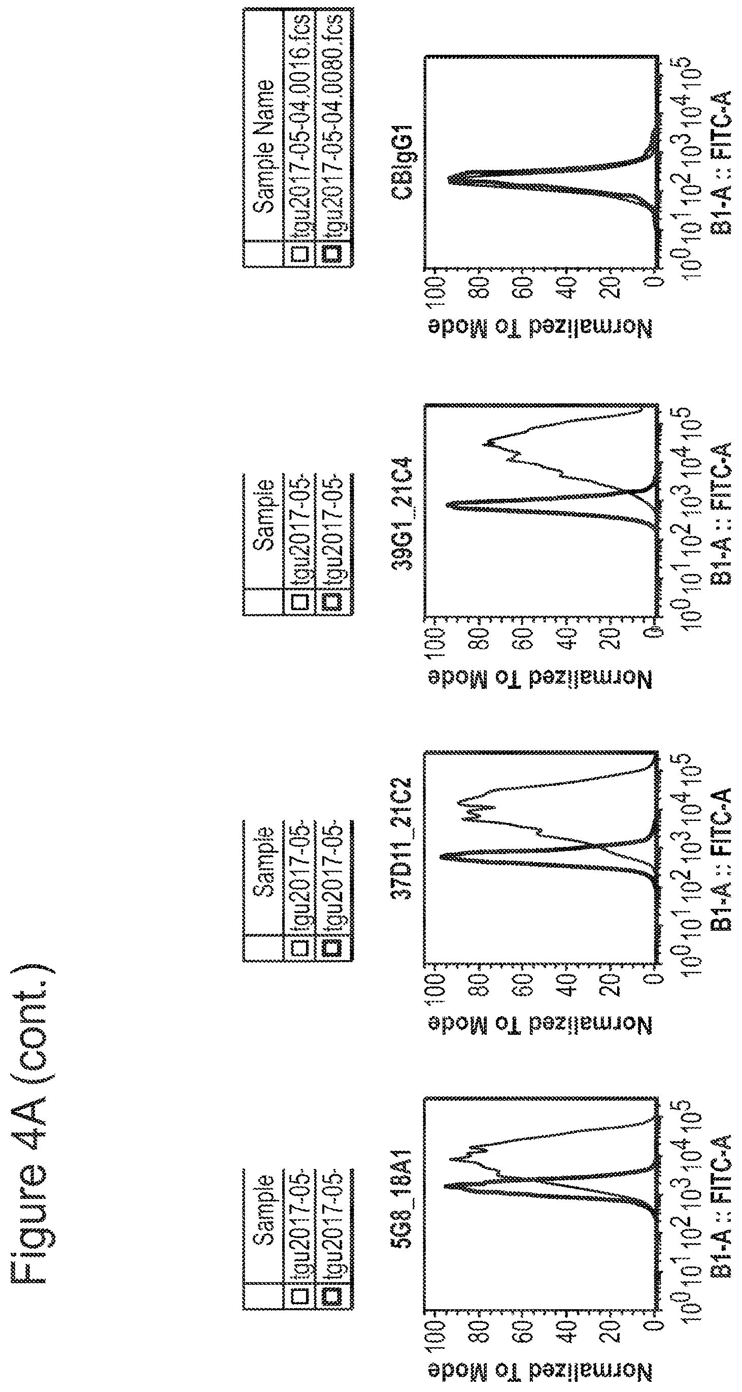 Patent US12350347 Figure 6 – Nucleic acids encoding anti-IL1RAP antibodies and their uses