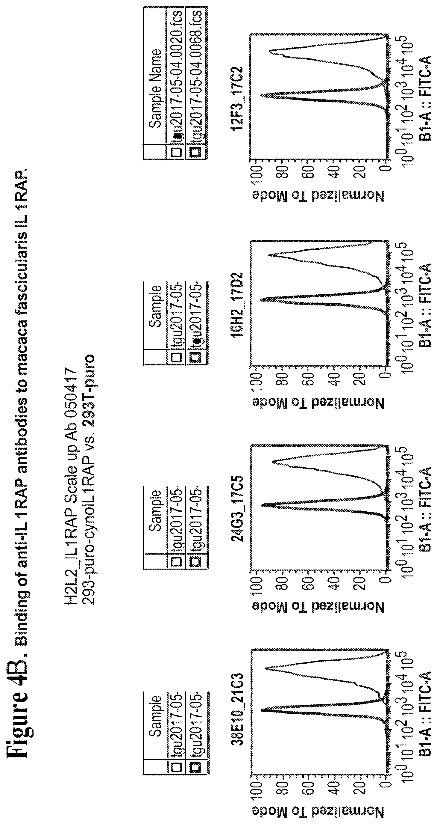 Patent US12350347 Figure 7 – Nucleic acids encoding anti-IL1RAP antibodies and their uses