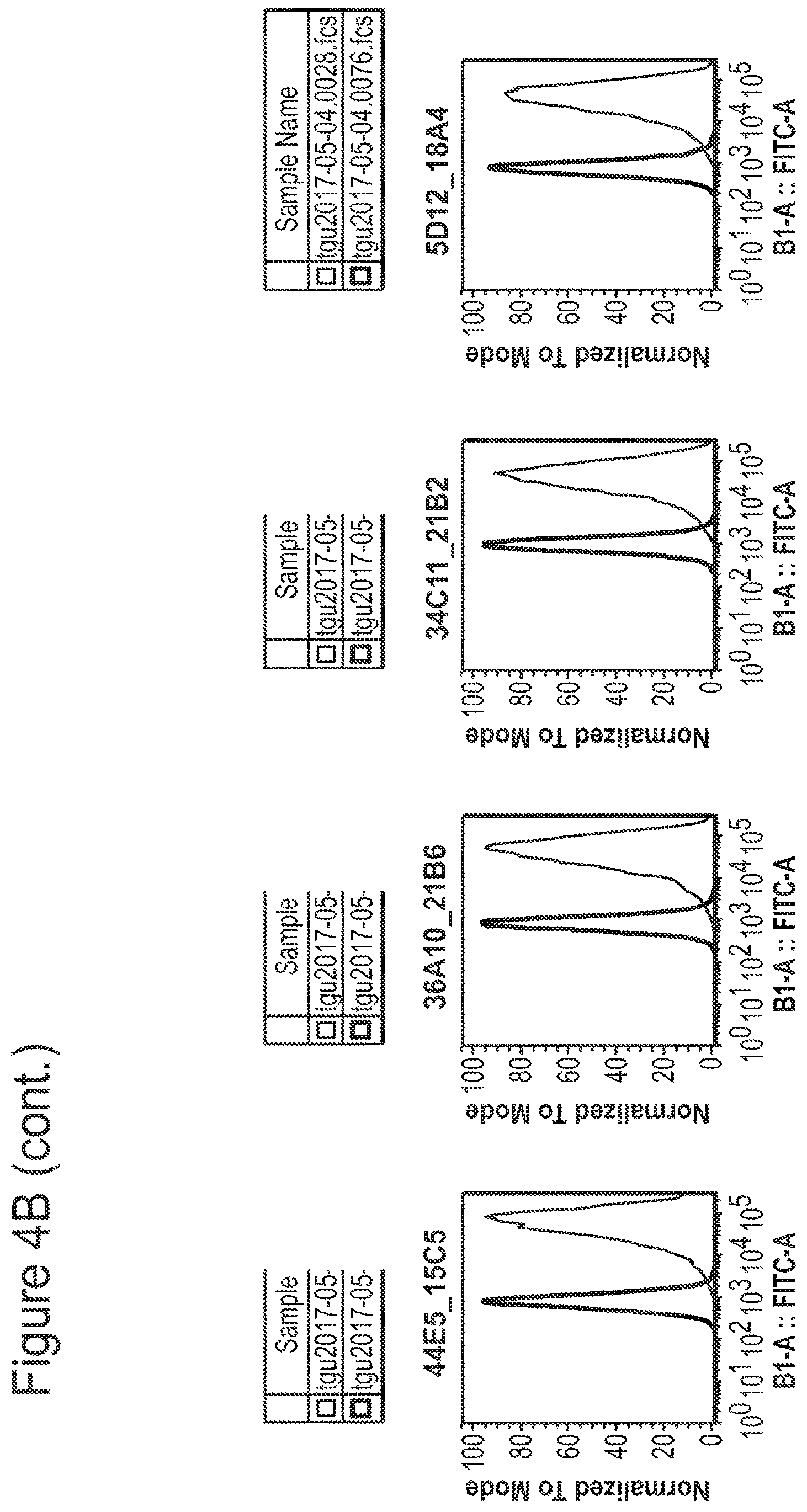 Patent US12350347 Figure 9 – Nucleic acids encoding anti-IL1RAP antibodies and their uses