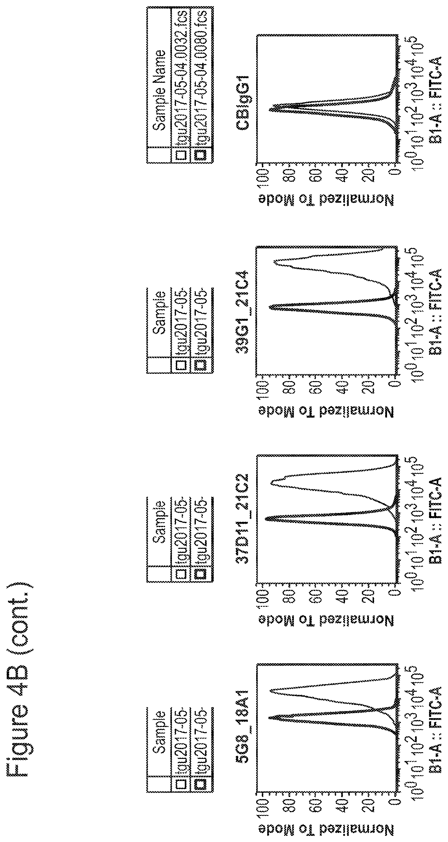 Patent US12350347 Figure 10 – Nucleic acids encoding anti-IL1RAP antibodies and their uses