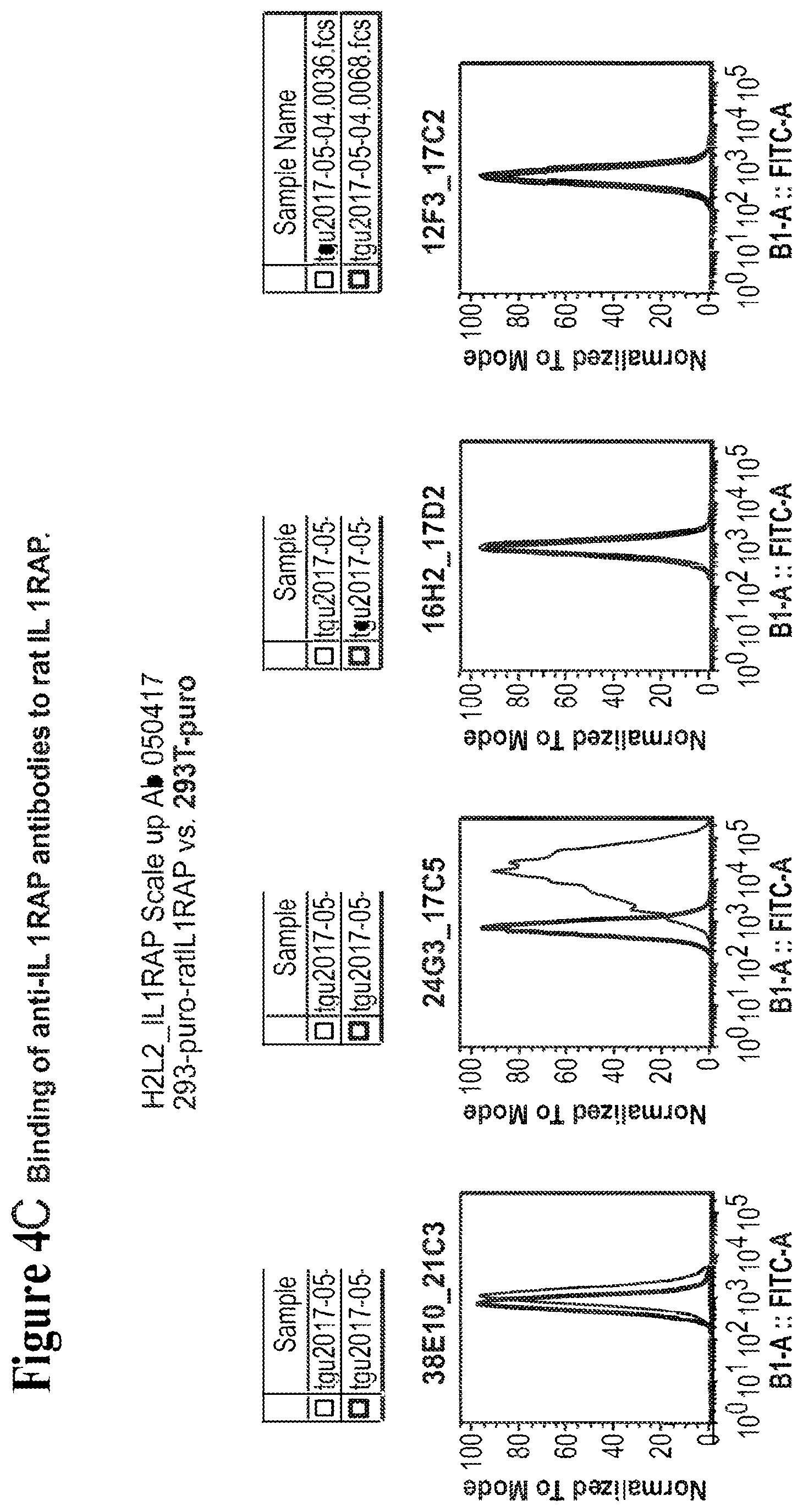 Patent US12350347 Figure 11 – Nucleic acids encoding anti-IL1RAP antibodies and their uses