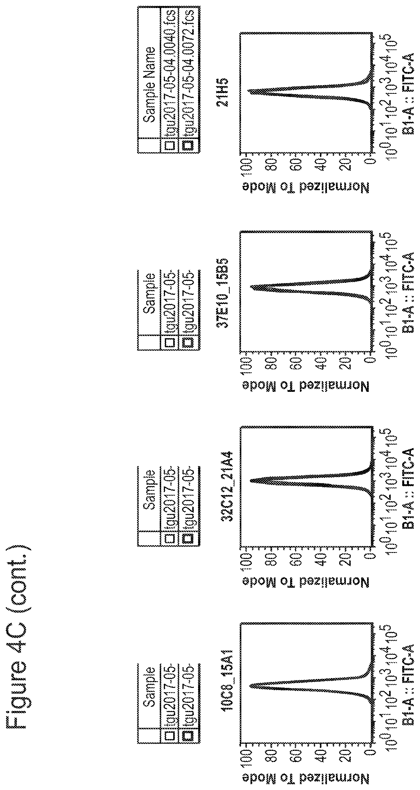 Patent US12350347 Figure 12 – Nucleic acids encoding anti-IL1RAP antibodies and their uses