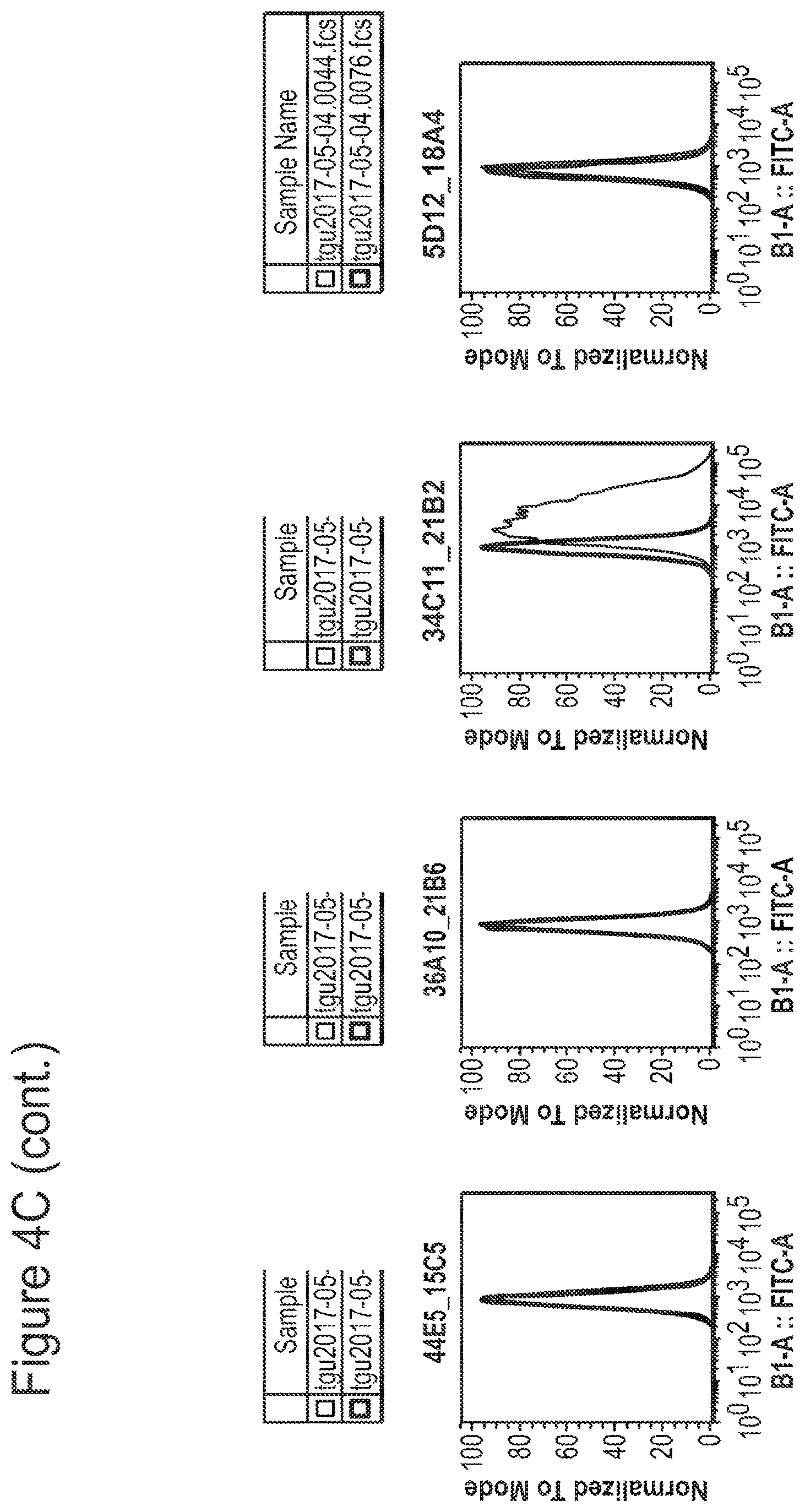 Patent US12350347 Figure 13 – Nucleic acids encoding anti-IL1RAP antibodies and their uses