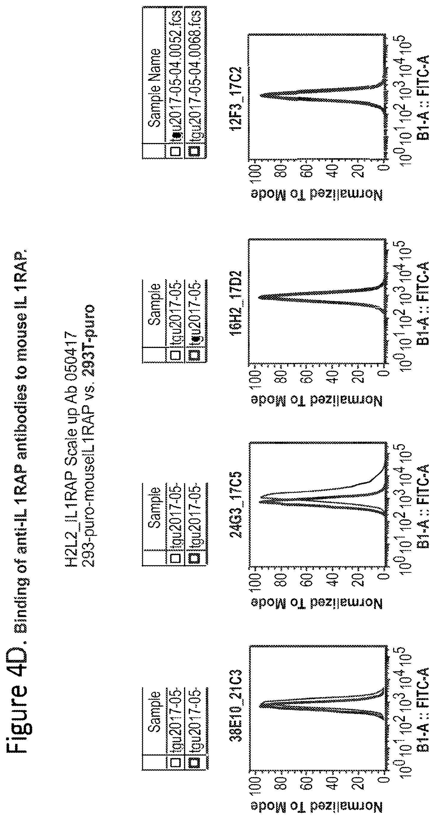 Patent US12350347 Figure 15 – Nucleic acids encoding anti-IL1RAP antibodies and their uses