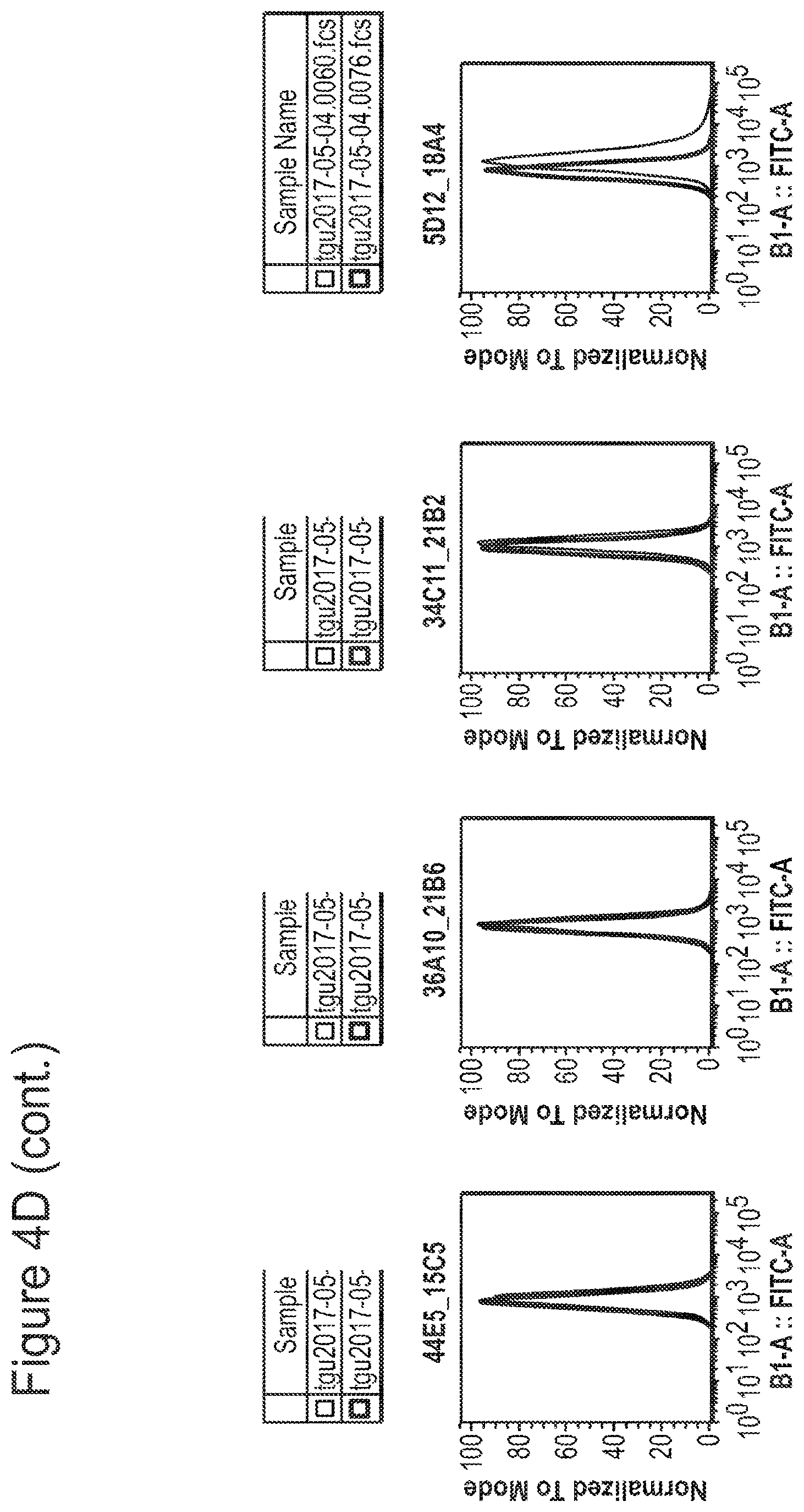 Patent US12350347 Figure 17 – Nucleic acids encoding anti-IL1RAP antibodies and their uses