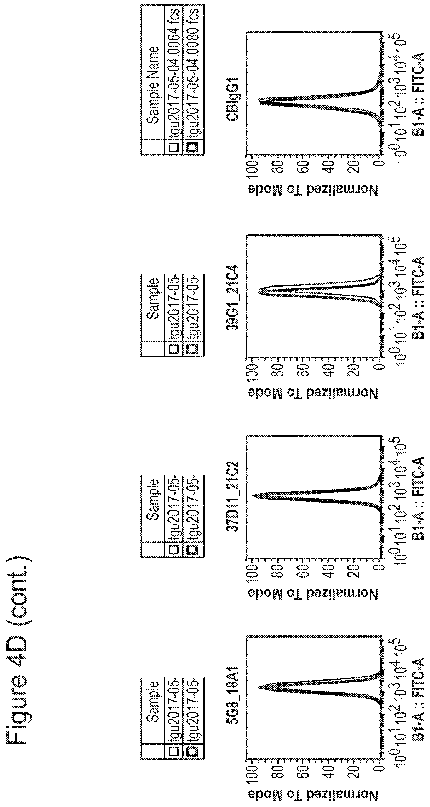 Patent US12350347 Figure 18 – Nucleic acids encoding anti-IL1RAP antibodies and their uses