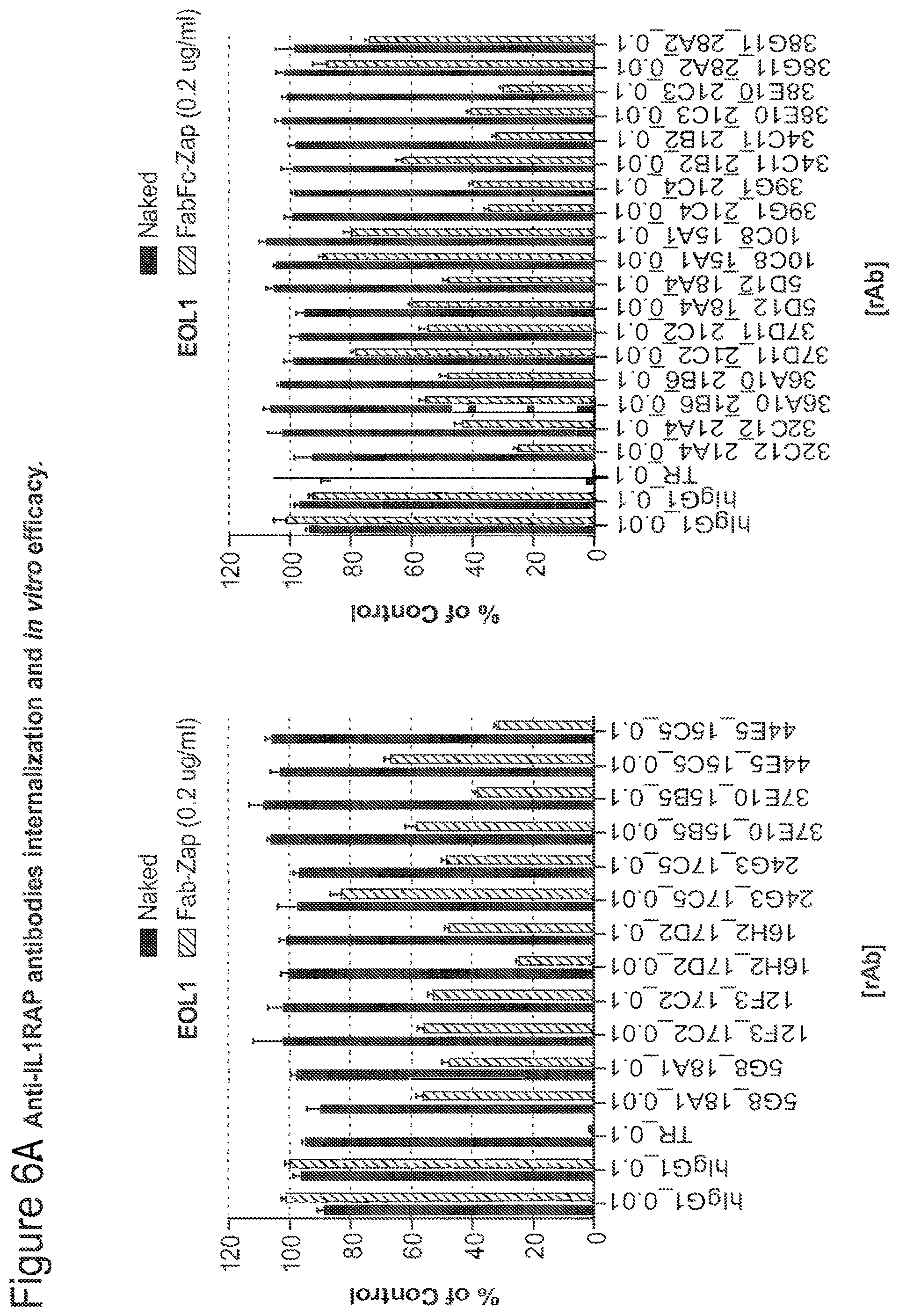 Patent US12350347 Figure 20 – Nucleic acids encoding anti-IL1RAP antibodies and their uses
