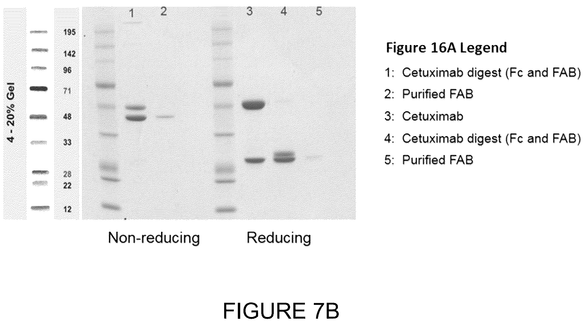 Patent US12350348 Figure 17 – Compounds and therapeutic uses thereof
