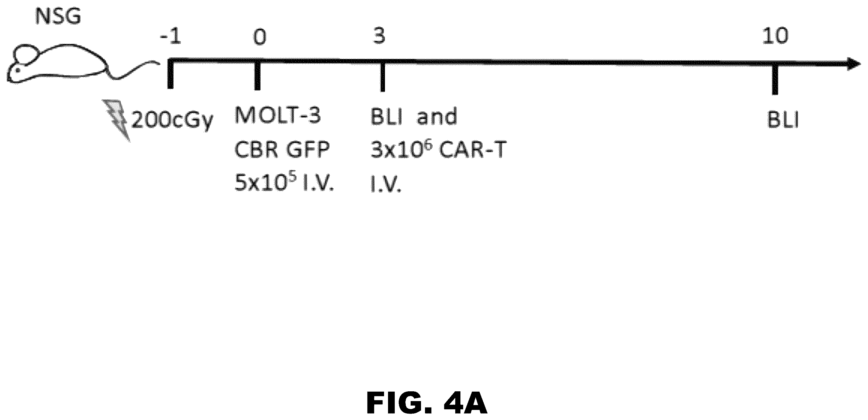 Patent US12350349 Figure 4 – Gene editing of CAR-T cells for the treatment of T cell malignancies with chimeric antigen receptors