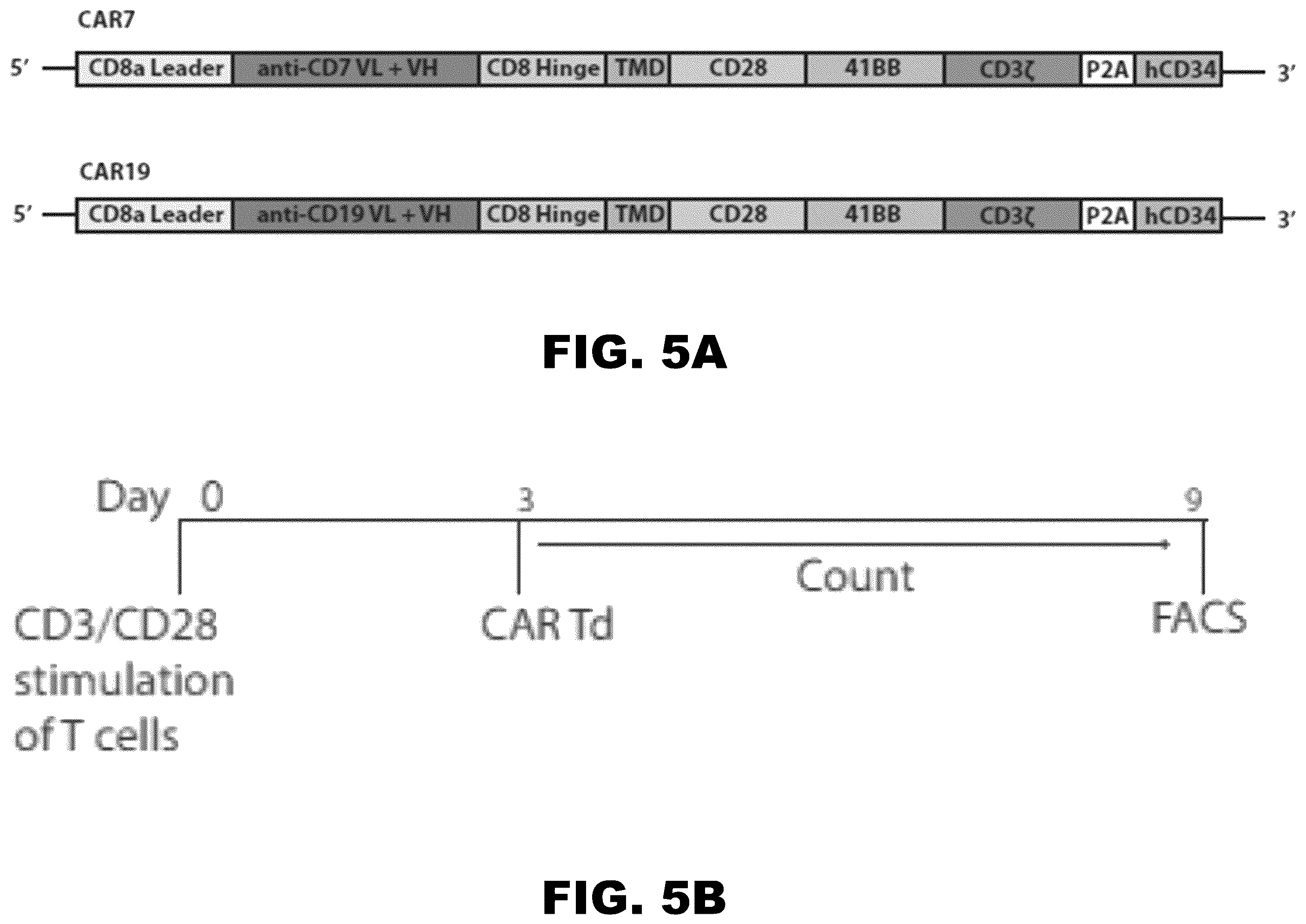 Patent US12350349 Figure 7 – Gene editing of CAR-T cells for the treatment of T cell malignancies with chimeric antigen receptors