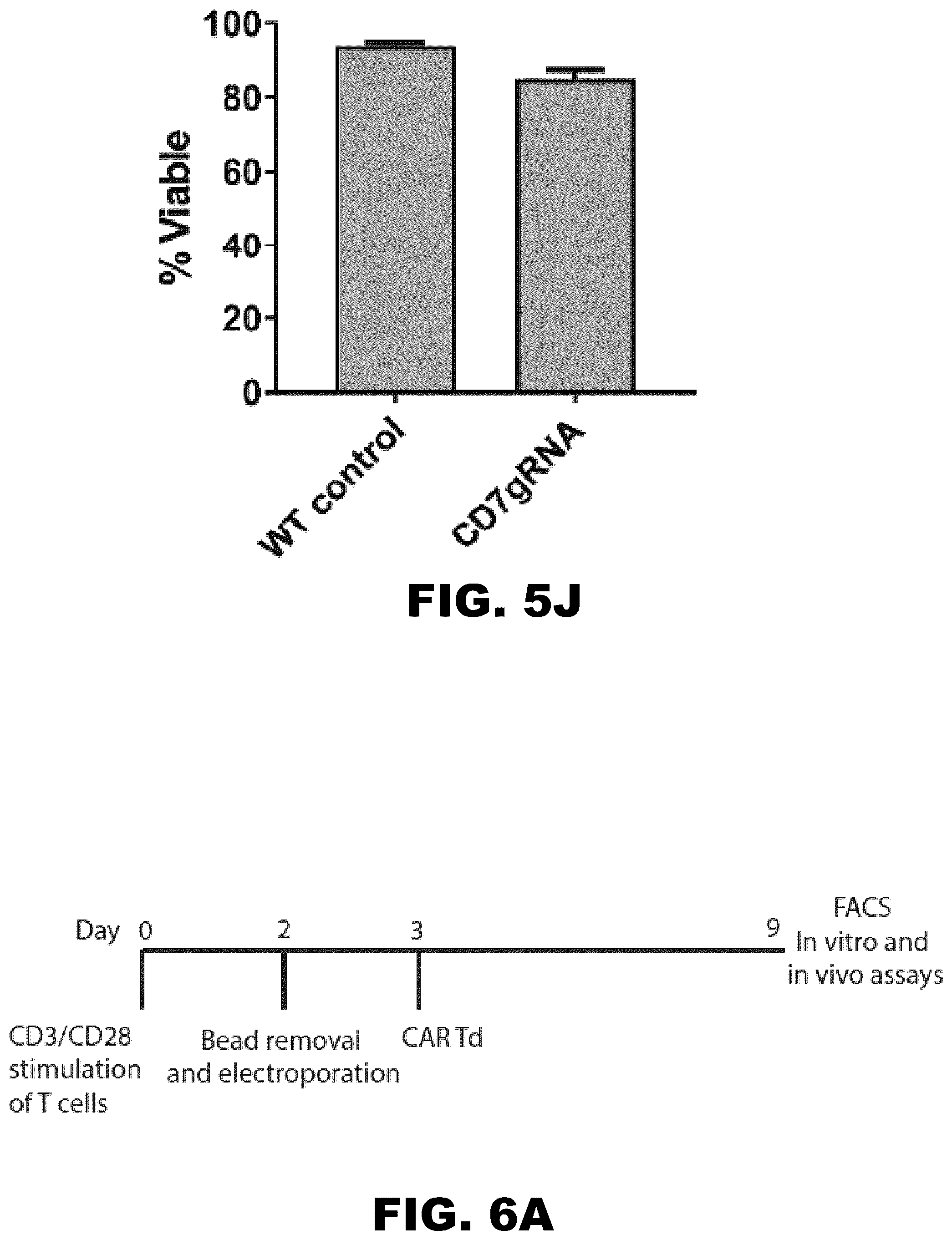 Patent US12350349 Figure 12 – Gene editing of CAR-T cells for the treatment of T cell malignancies with chimeric antigen receptors