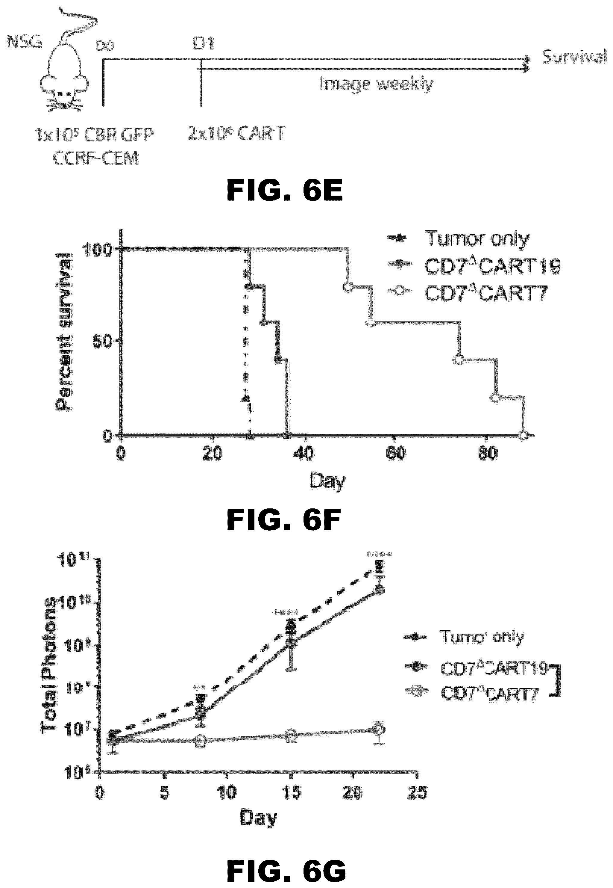 Patent US12350349 Figure 15 – Gene editing of CAR-T cells for the treatment of T cell malignancies with chimeric antigen receptors