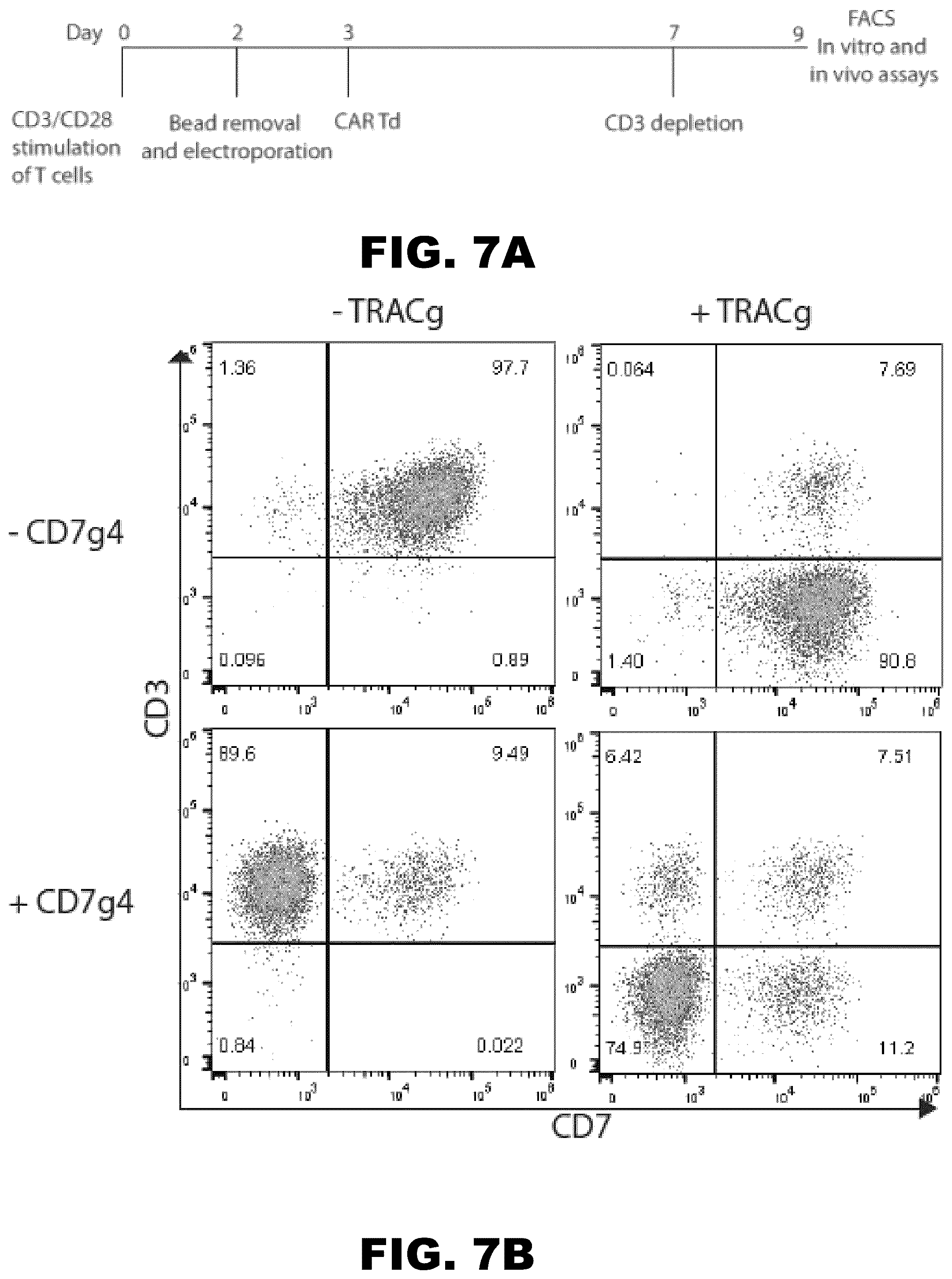 Patent US12350349 Figure 16 – Gene editing of CAR-T cells for the treatment of T cell malignancies with chimeric antigen receptors