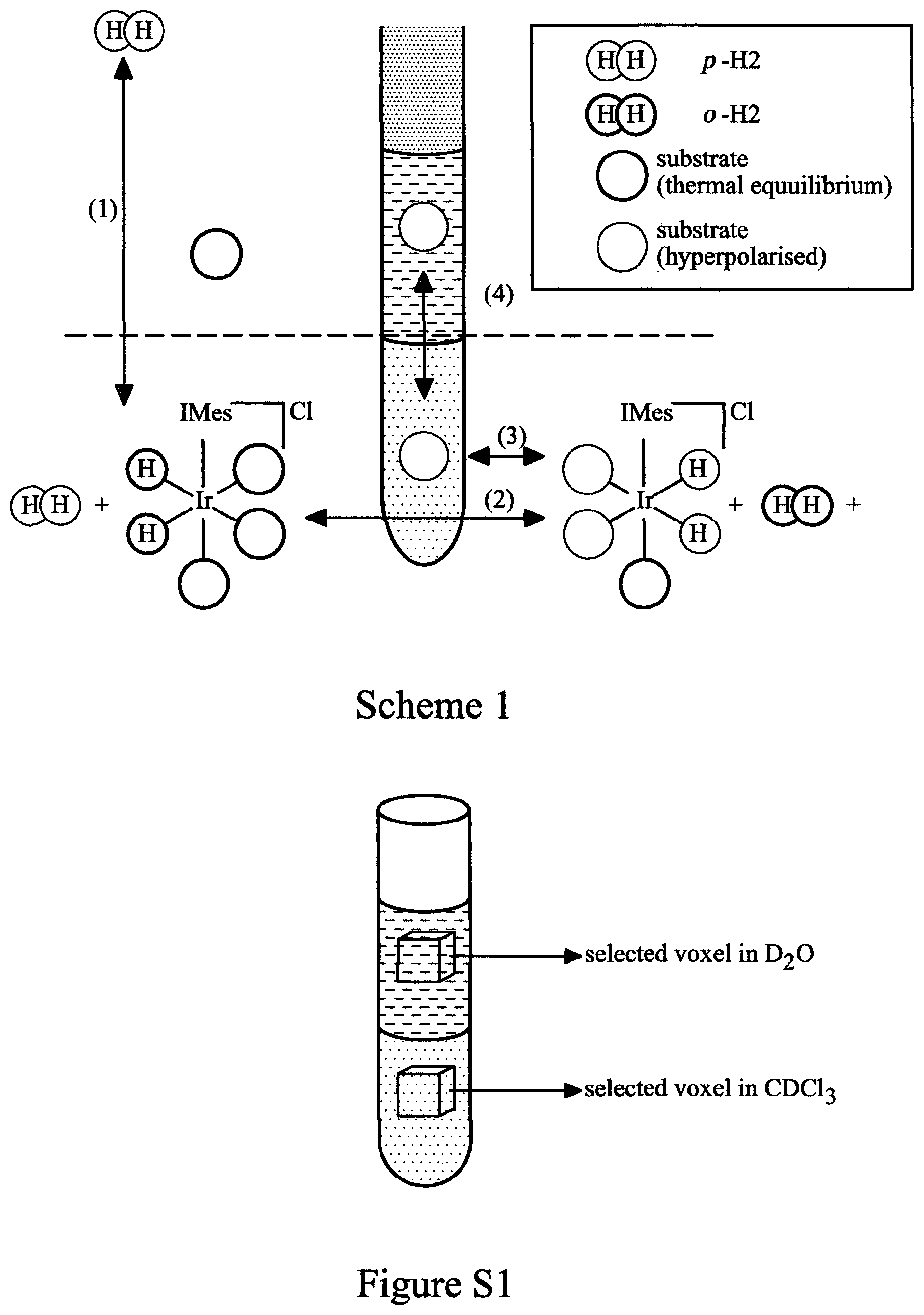 Patent US12350350 Figure 1 – Hyperpolarisation in aqueous media via sabre