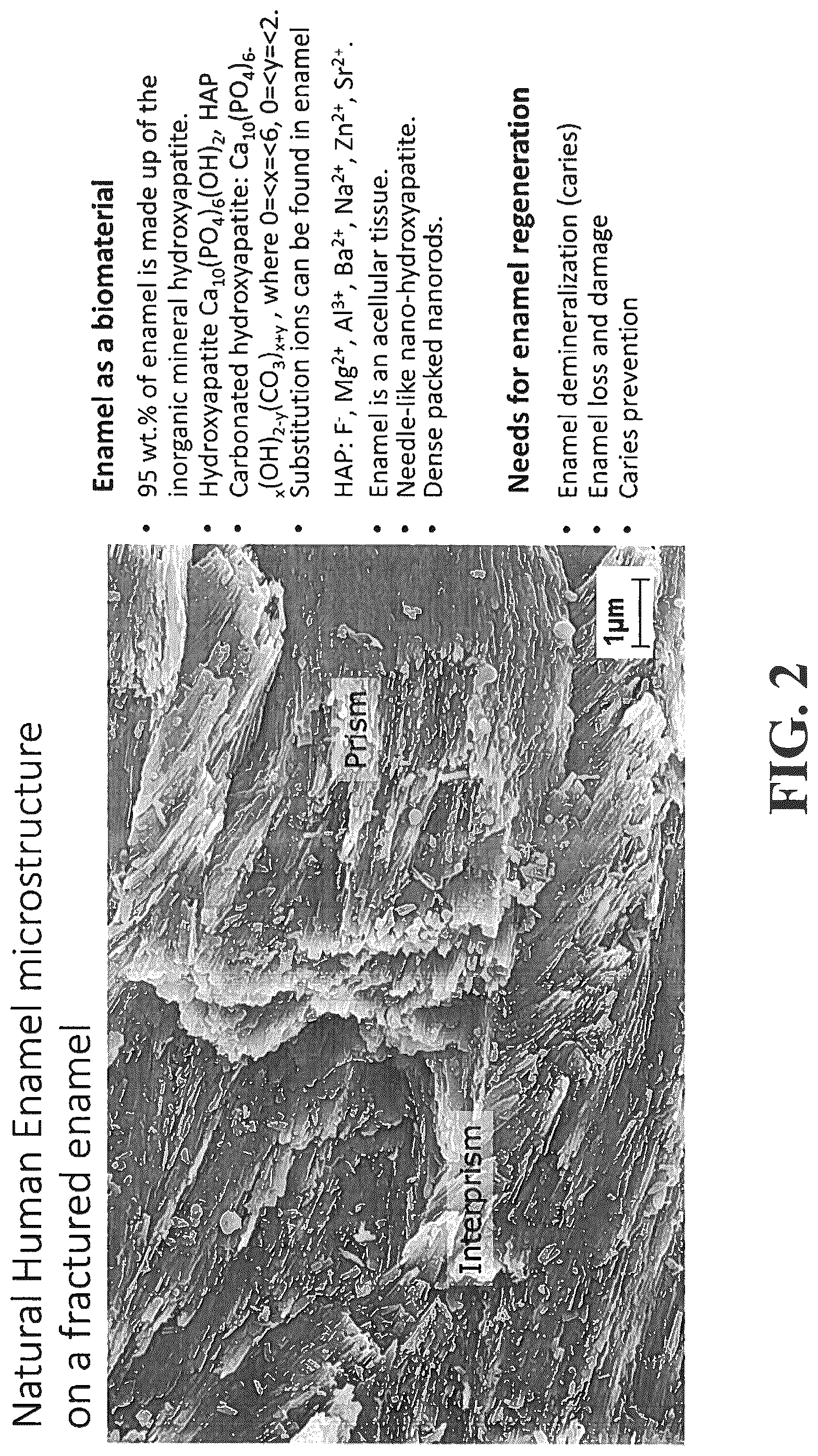 Patent US12350353 Figure 2 – Synthetic enamel and uses thereof
