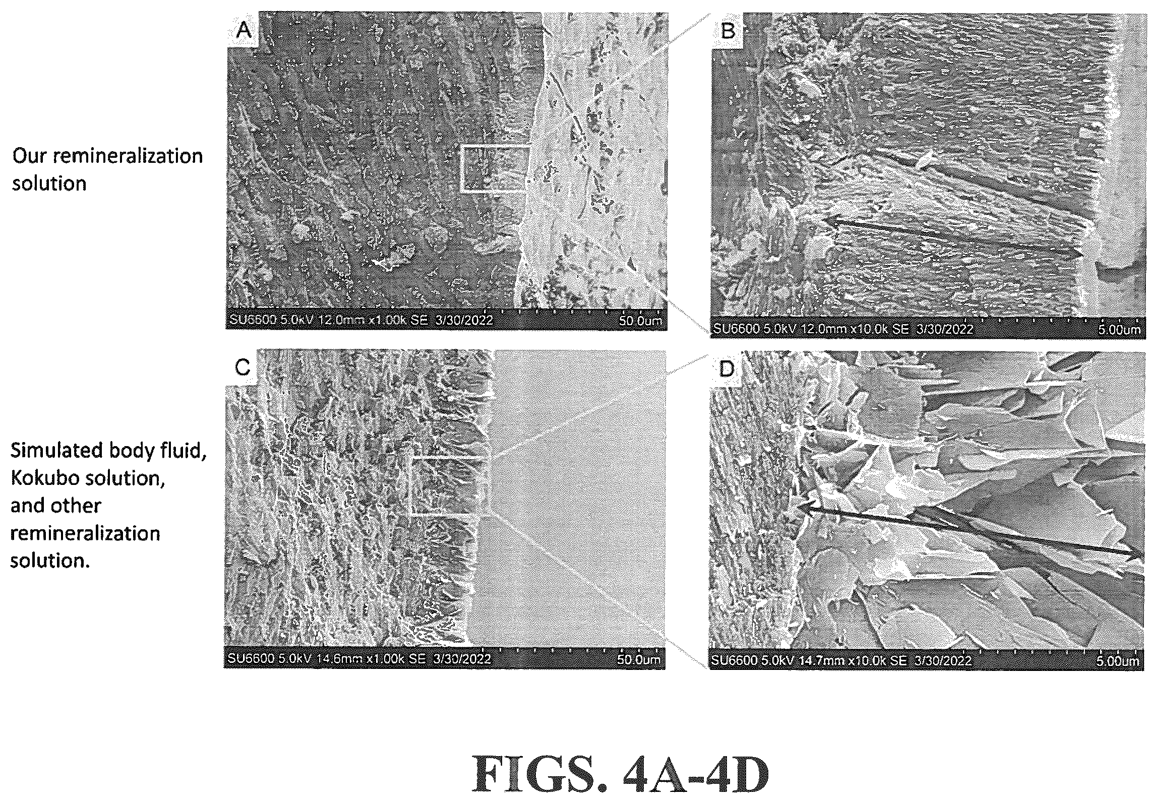 Patent US12350353 Figure 6 – Synthetic enamel and uses thereof