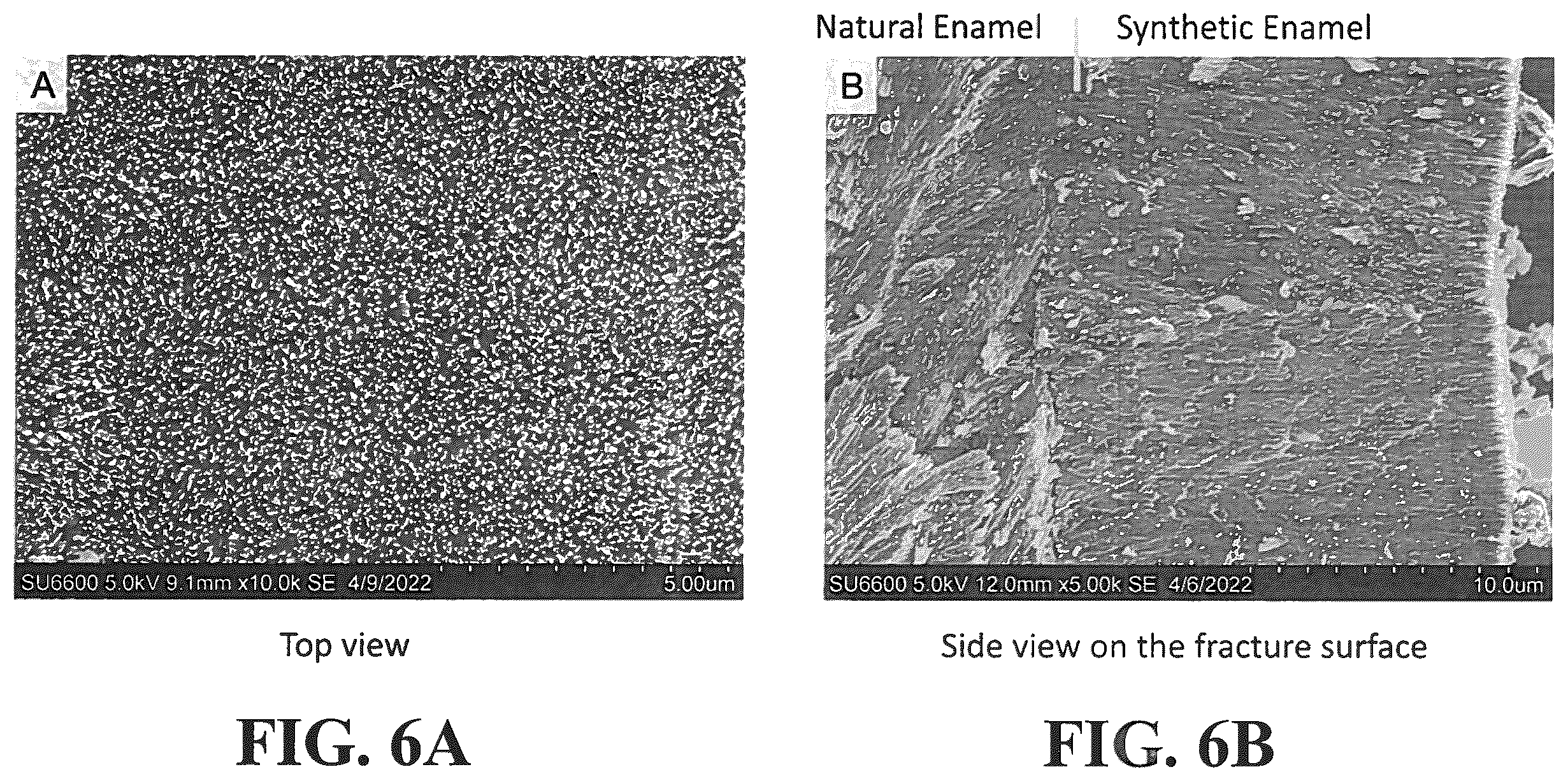Patent US12350353 Figure 8 – Synthetic enamel and uses thereof