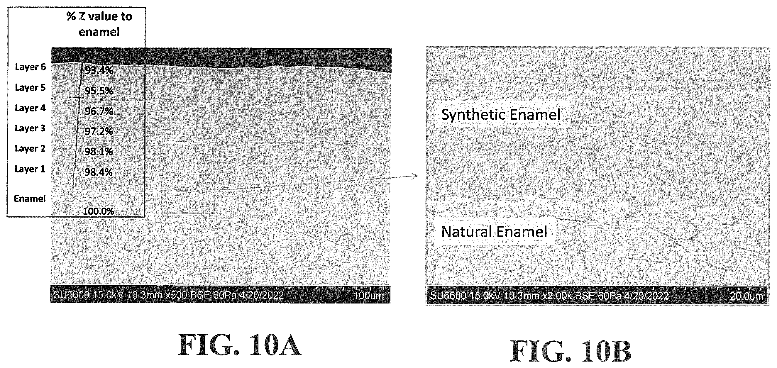 Patent US12350353 Figure 12 – Synthetic enamel and uses thereof