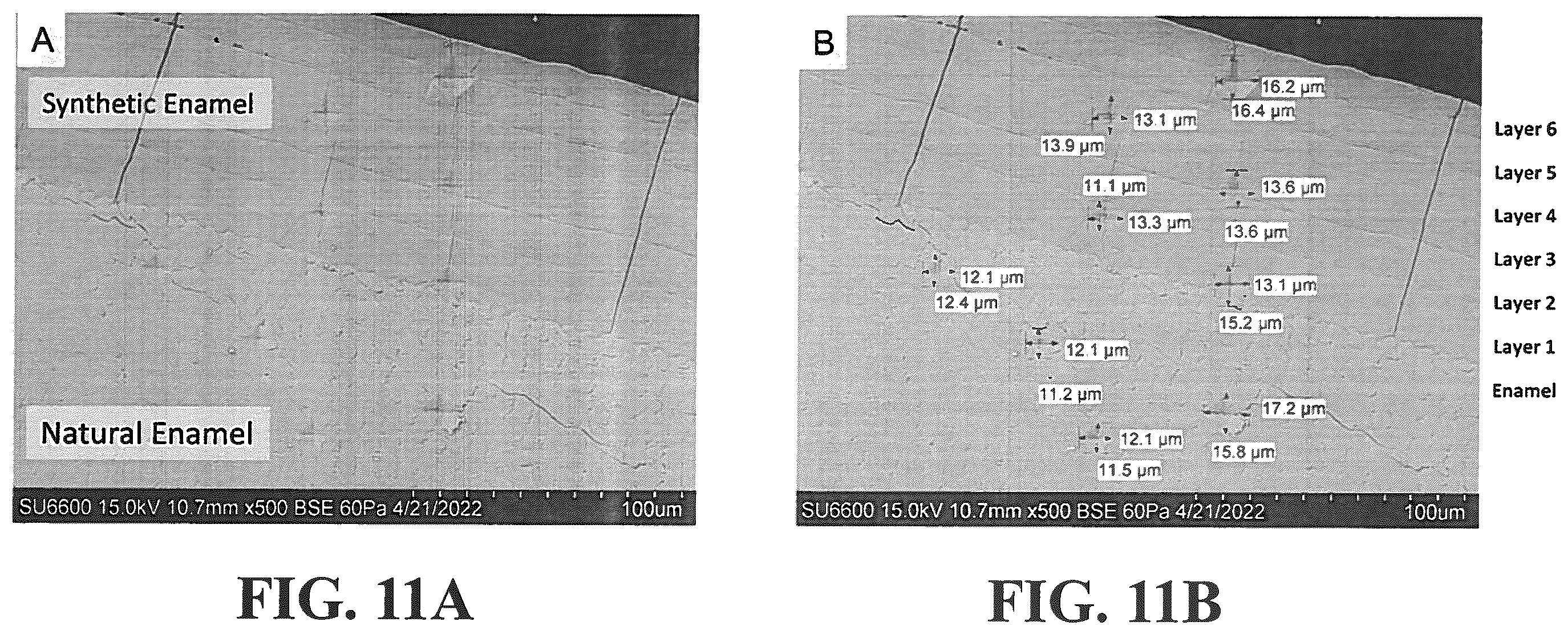 Patent US12350353 Figure 13 – Synthetic enamel and uses thereof