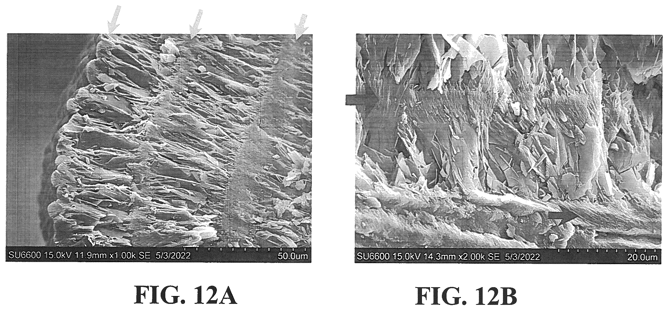 Patent US12350353 Figure 14 – Synthetic enamel and uses thereof
