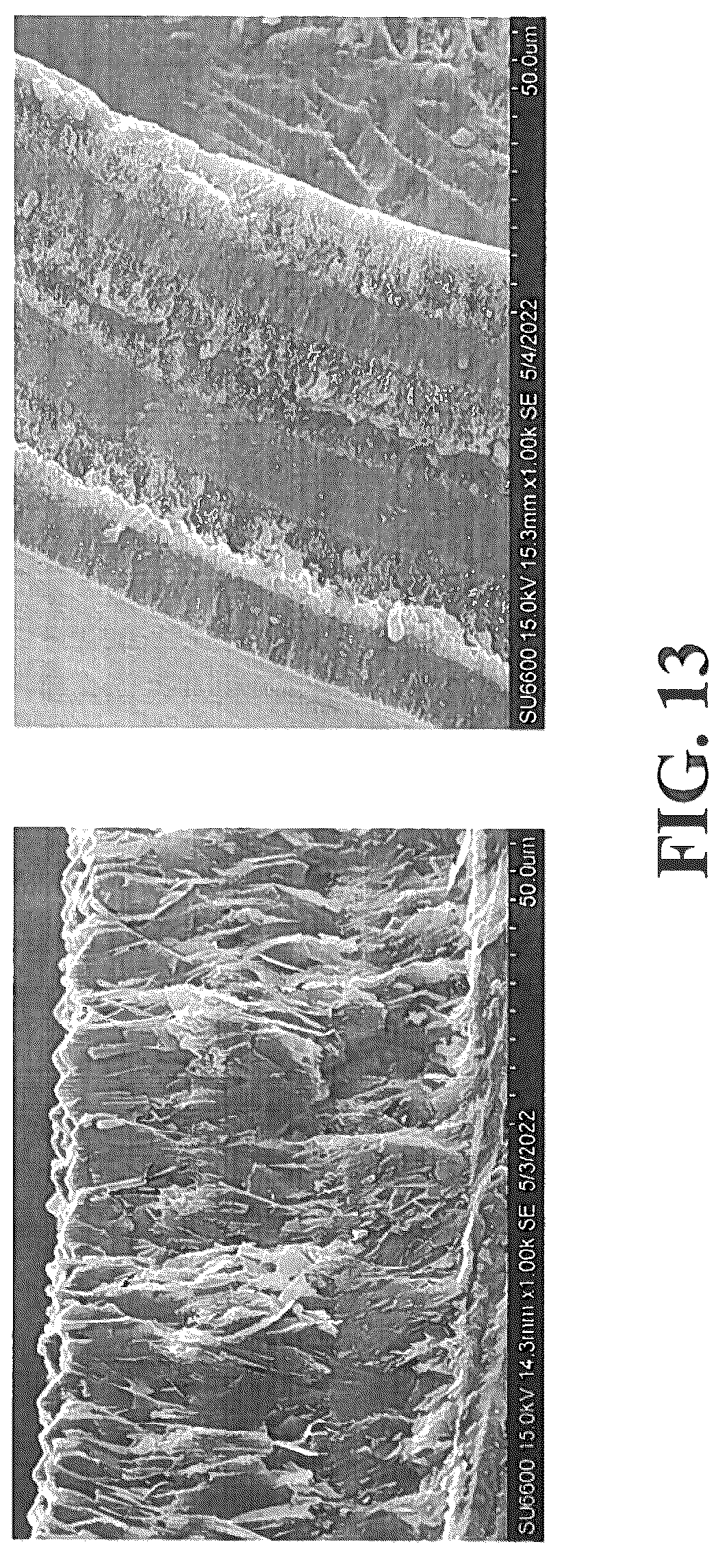 Patent US12350353 Figure 15 – Synthetic enamel and uses thereof