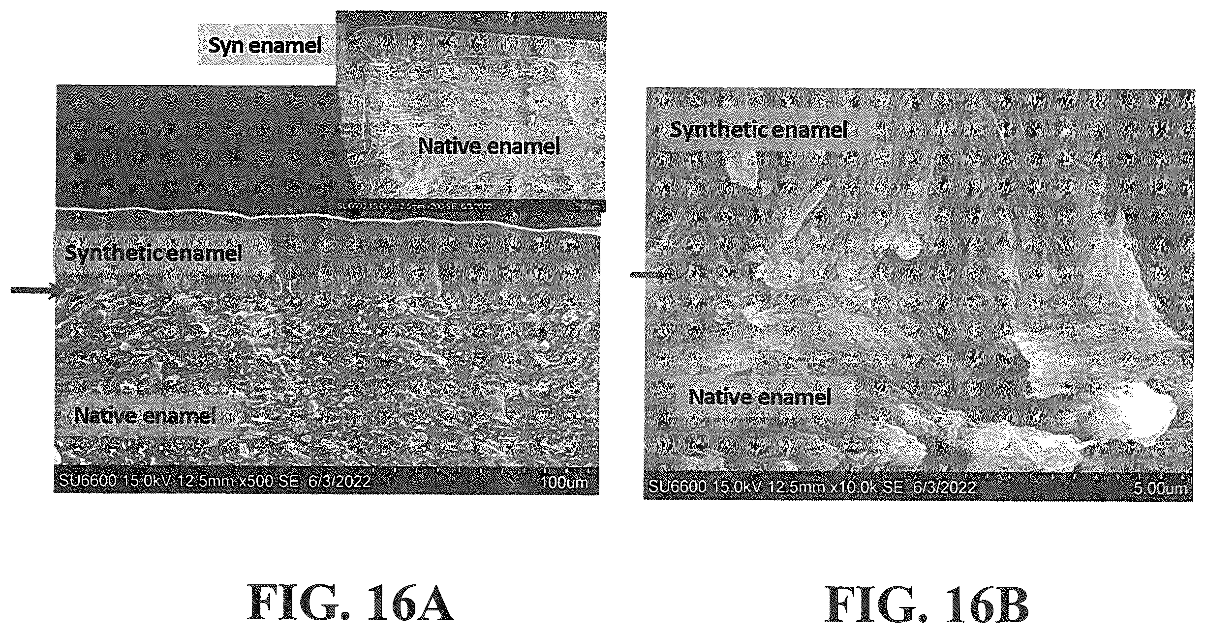 Patent US12350353 Figure 18 – Synthetic enamel and uses thereof
