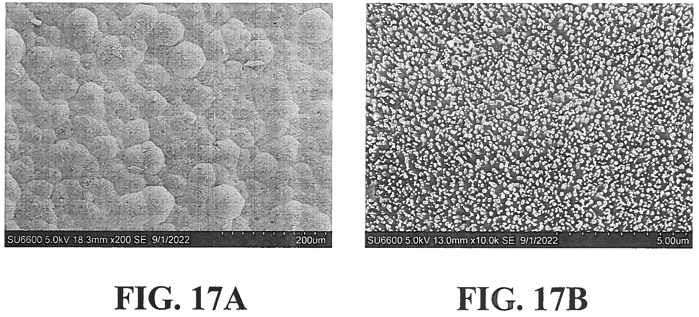 Patent US12350353 Figure 19 – Synthetic enamel and uses thereof