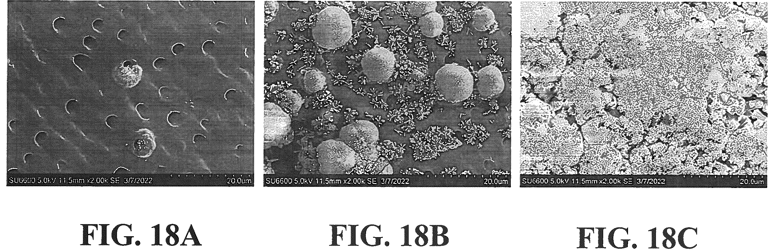 Patent US12350353 Figure 20 – Synthetic enamel and uses thereof
