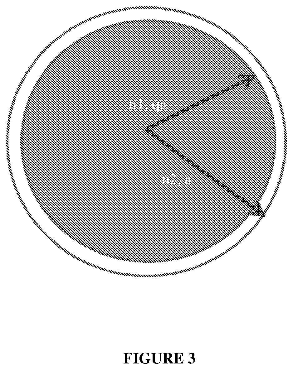 Patent US12350354 Figure 3 – Core shell silica particles and use for malodor reduction