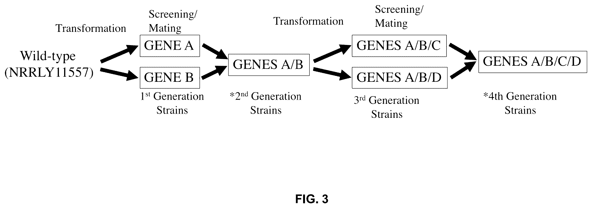 Patent US12350364 Figure 3 – Lipid body compositions, products made therefrom, methods of making same, and methods of use