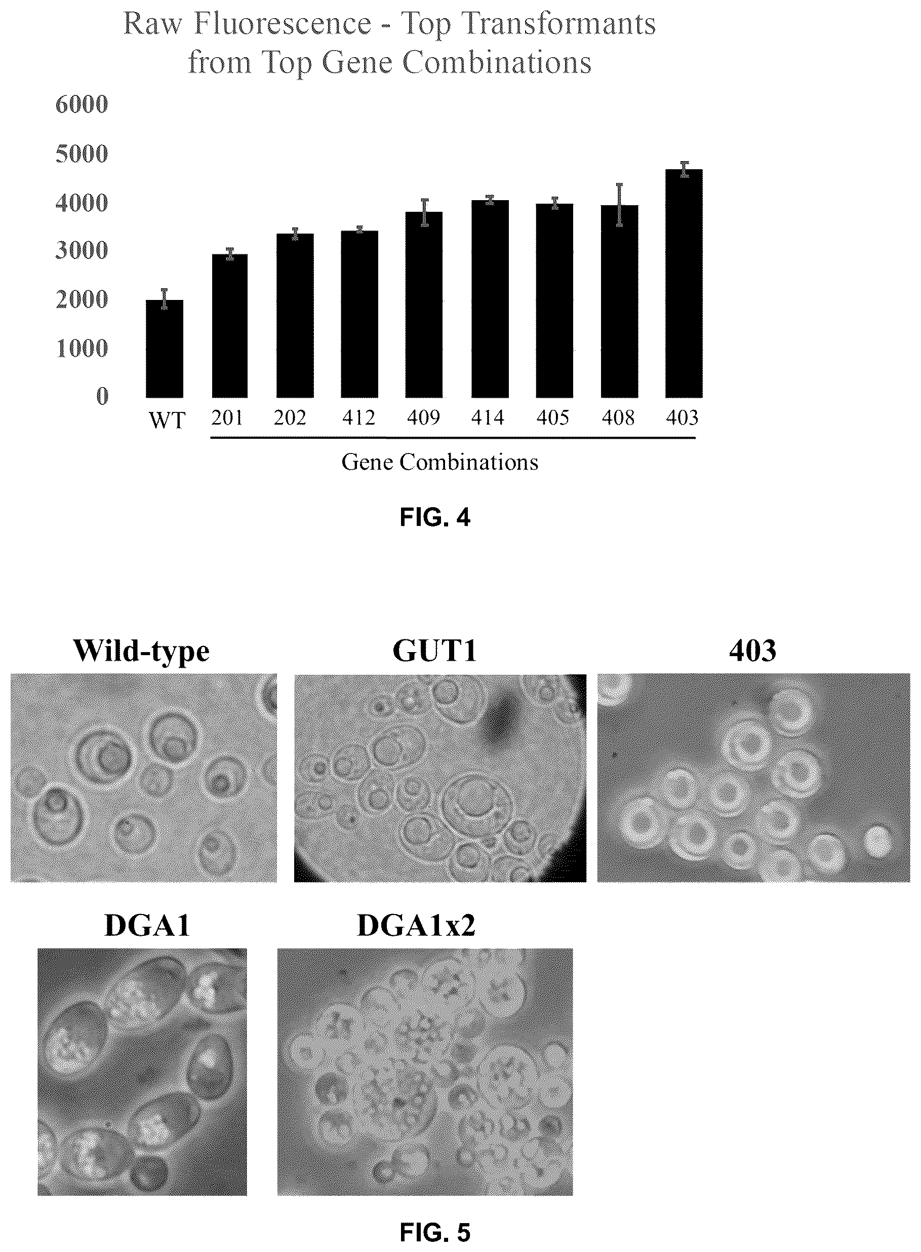 Patent US12350364 Figure 4 – Lipid body compositions, products made therefrom, methods of making same, and methods of use