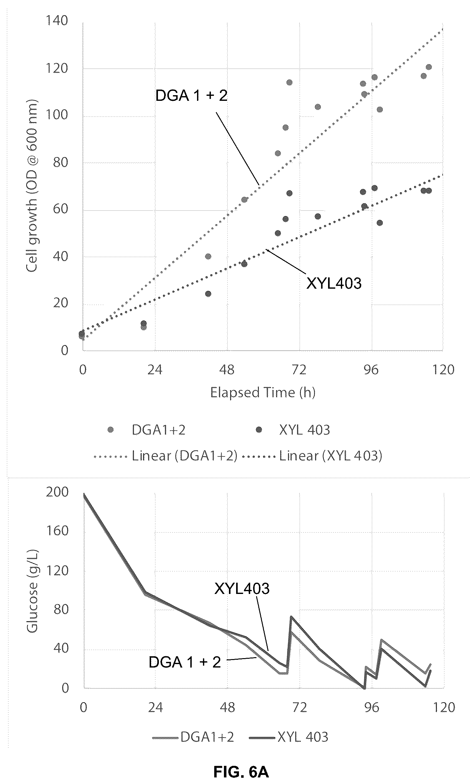 Patent US12350364 Figure 5 – Lipid body compositions, products made therefrom, methods of making same, and methods of use
