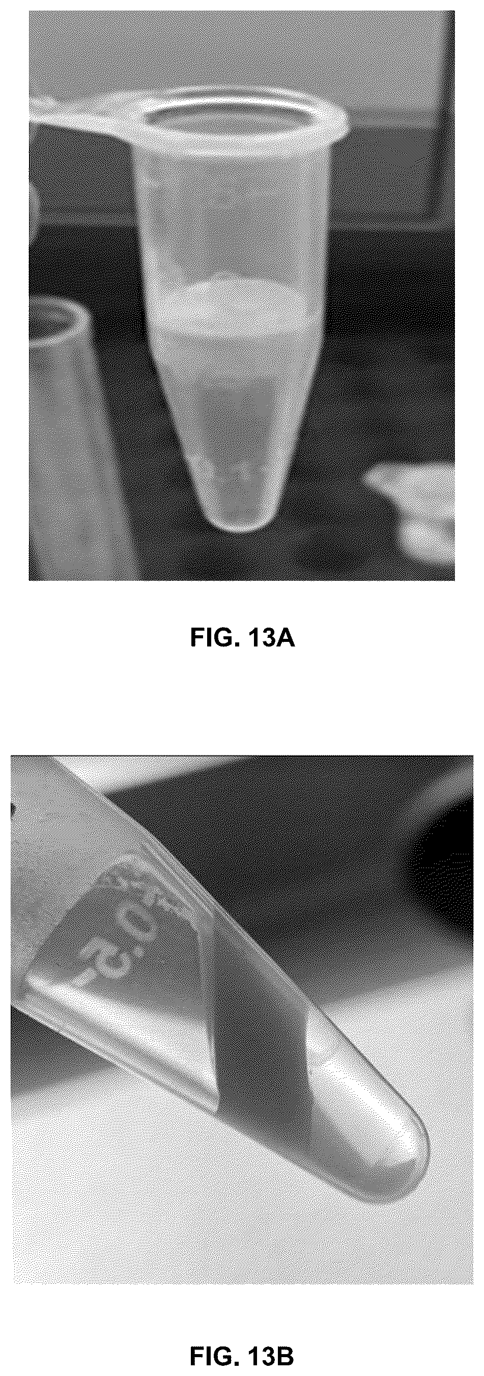 Patent US12350364 Figure 13 – Lipid body compositions, products made therefrom, methods of making same, and methods of use