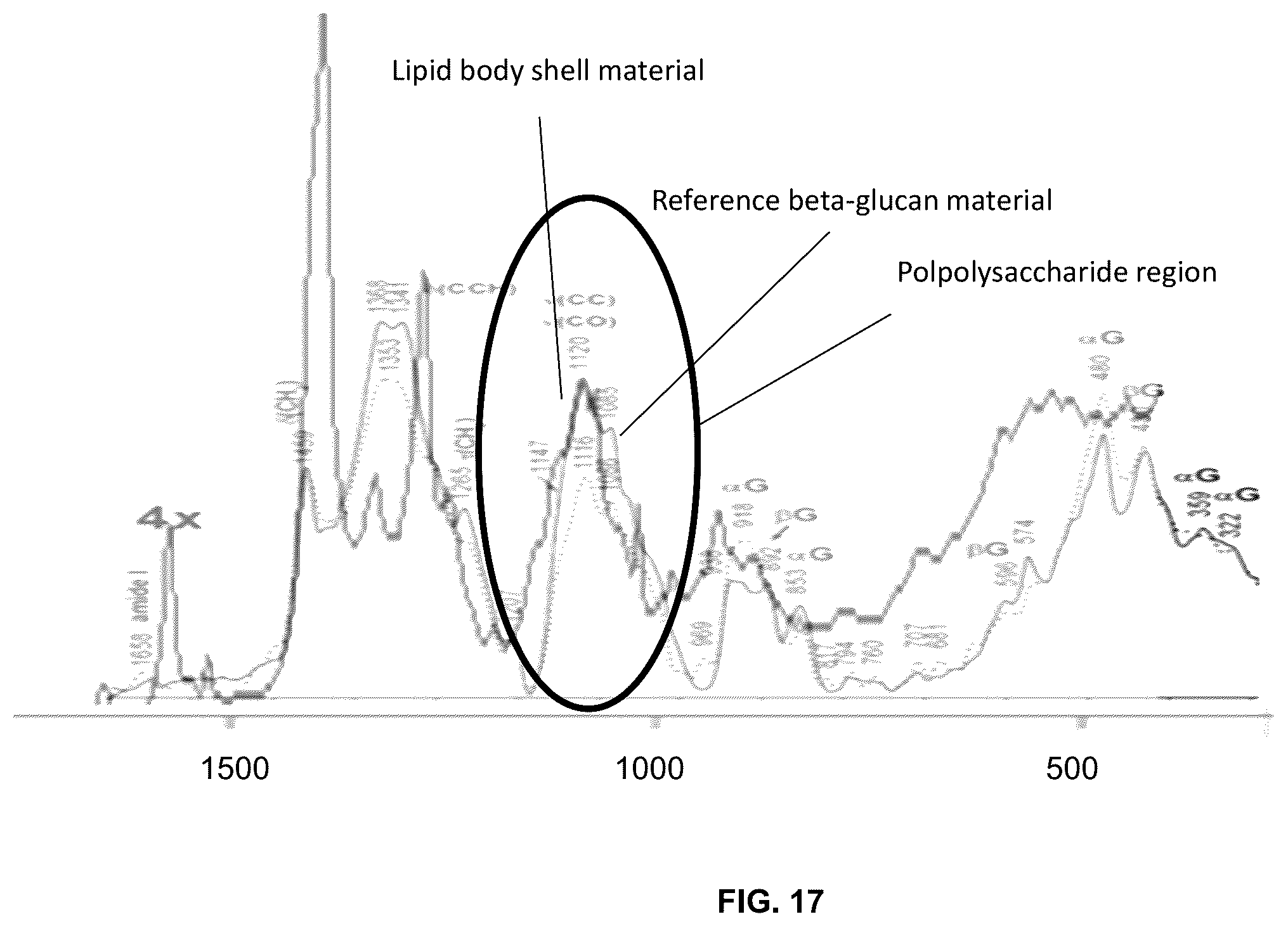 Patent US12350364 Figure 16 – Lipid body compositions, products made therefrom, methods of making same, and methods of use