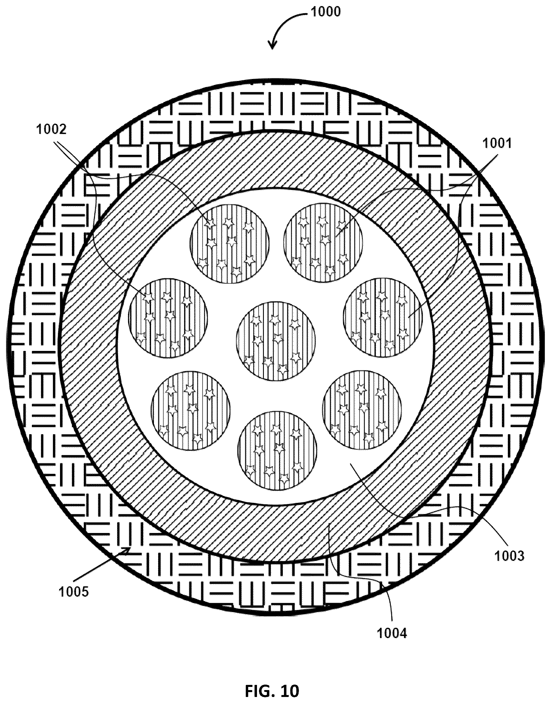 Patent US12350367 Figure 10 – Particles for administration of active ingredients and methods of making the same