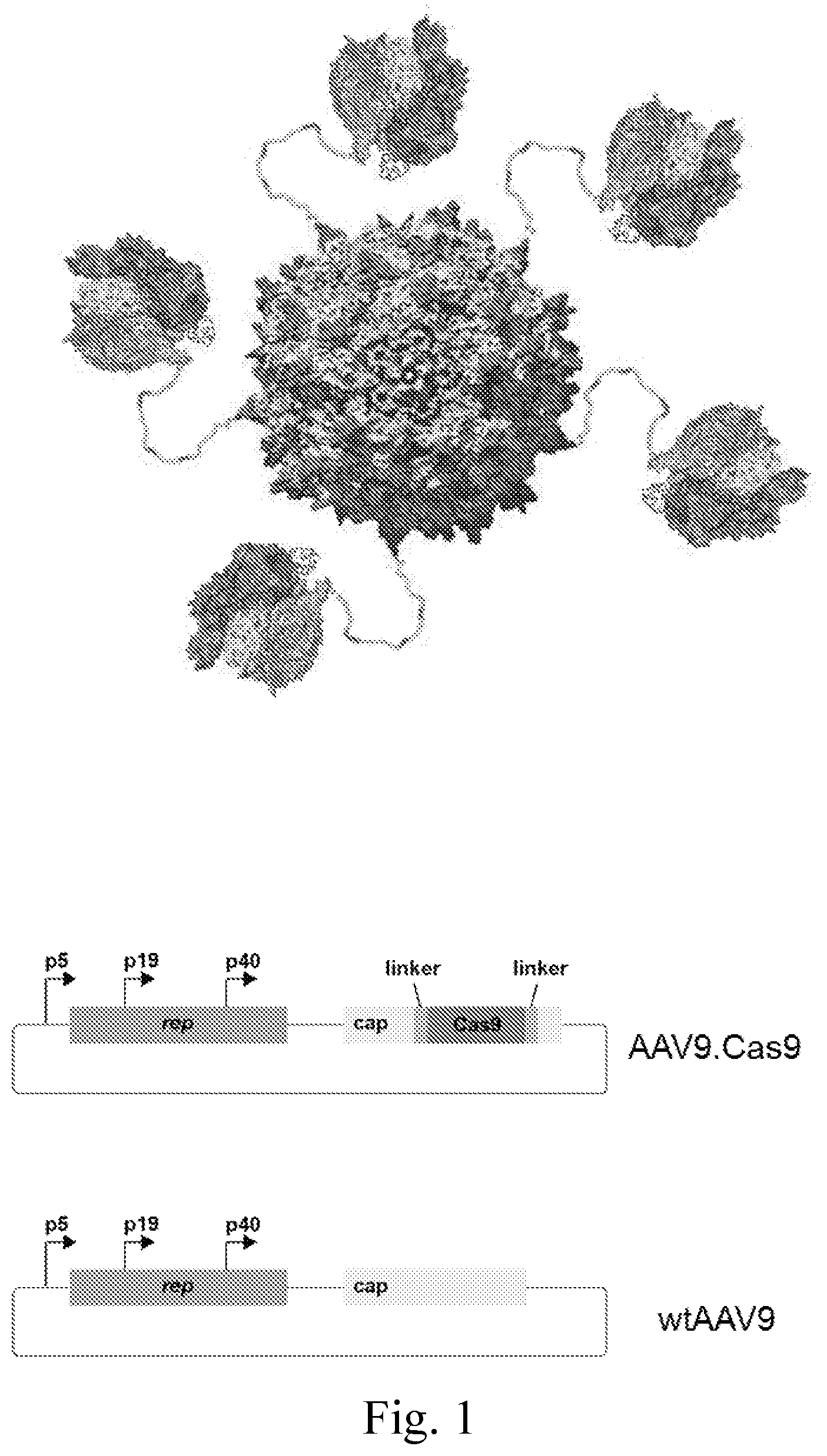 Patent US12350368 Figure 1 – Delivery of large payloads