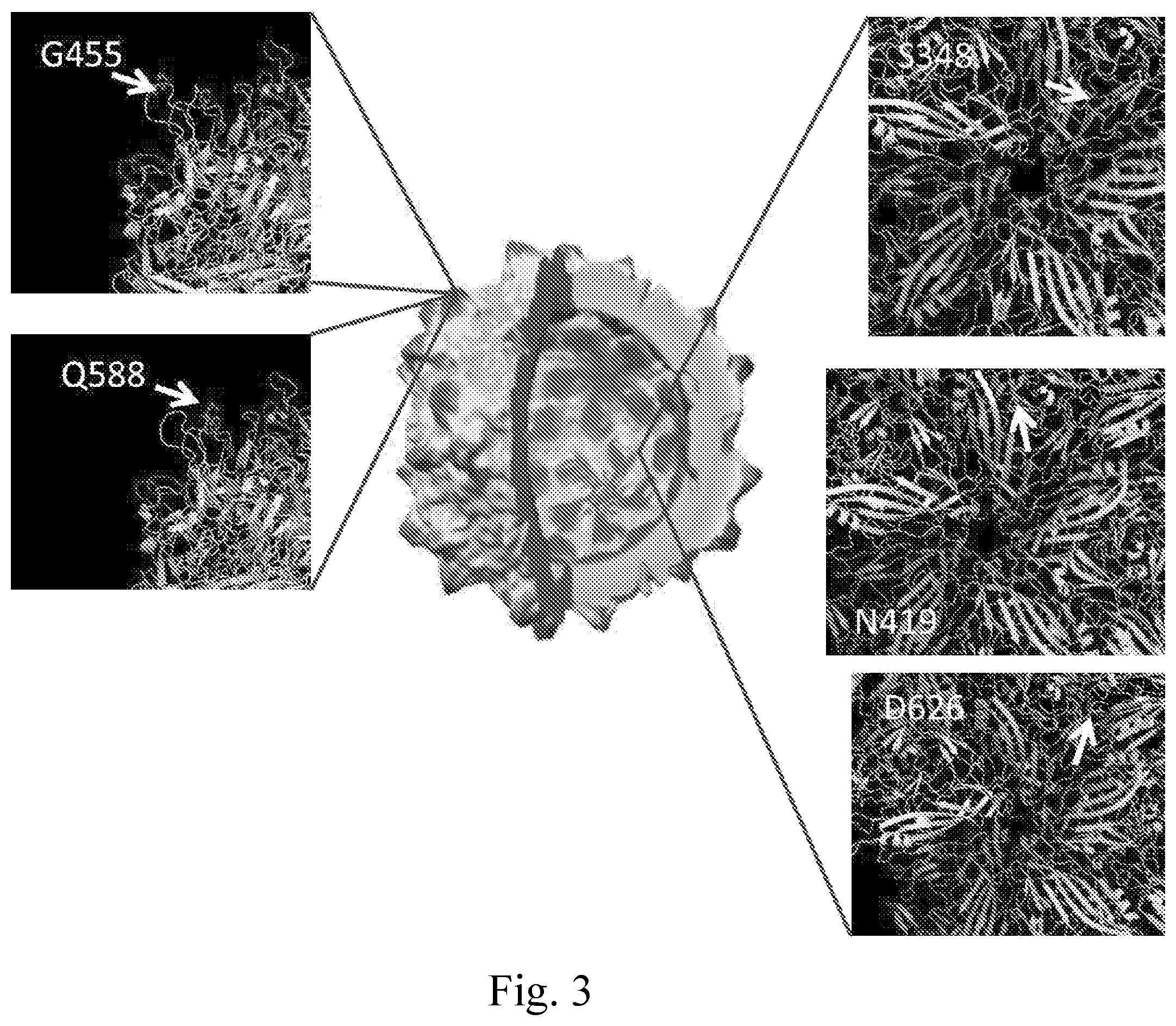 Patent US12350368 Figure 4 – Delivery of large payloads
