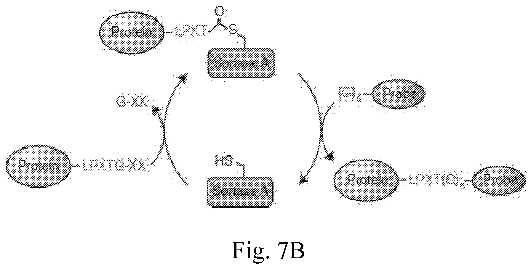 Patent US12350368 Figure 9 – Delivery of large payloads