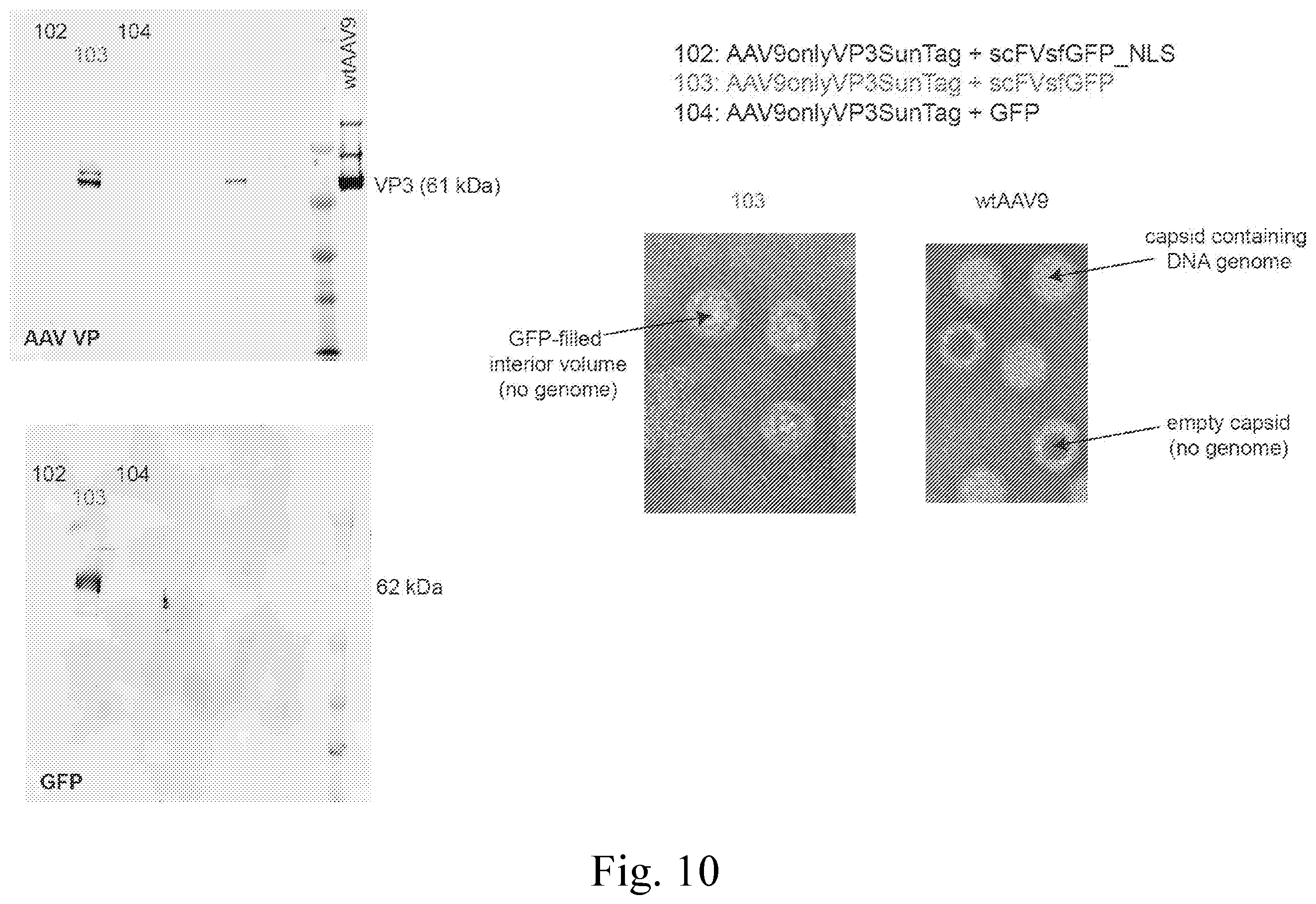 Patent US12350368 Figure 13 – Delivery of large payloads