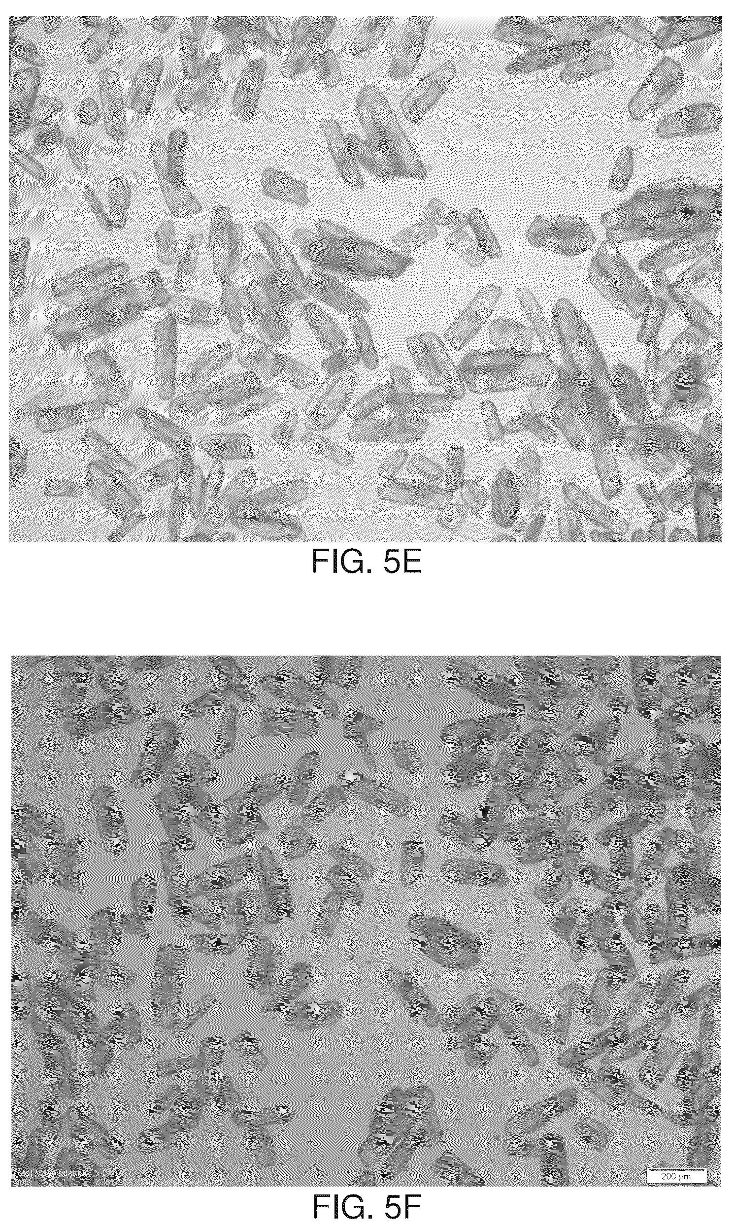 Patent US12350372 Figure 6 – Minimizing agglomeration of drug particle coating material during storage to stabilize disintegration times of pharmaceutical products