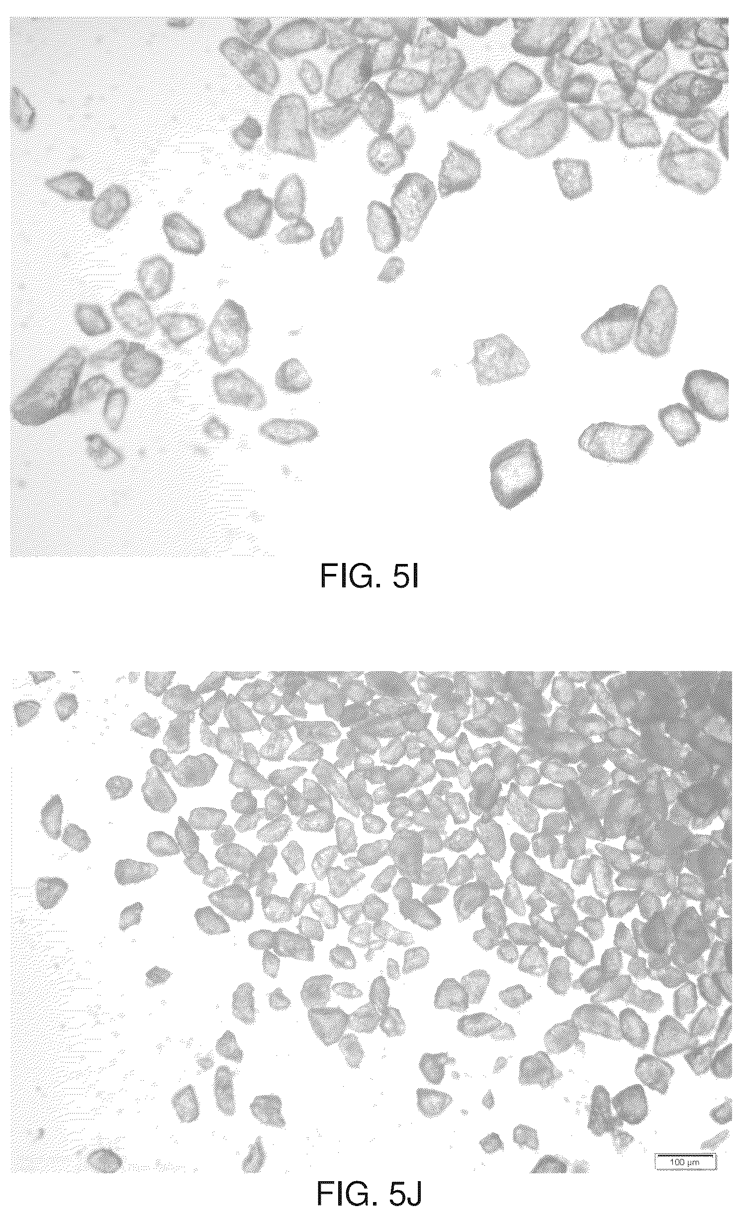 Patent US12350372 Figure 8 – Minimizing agglomeration of drug particle coating material during storage to stabilize disintegration times of pharmaceutical products