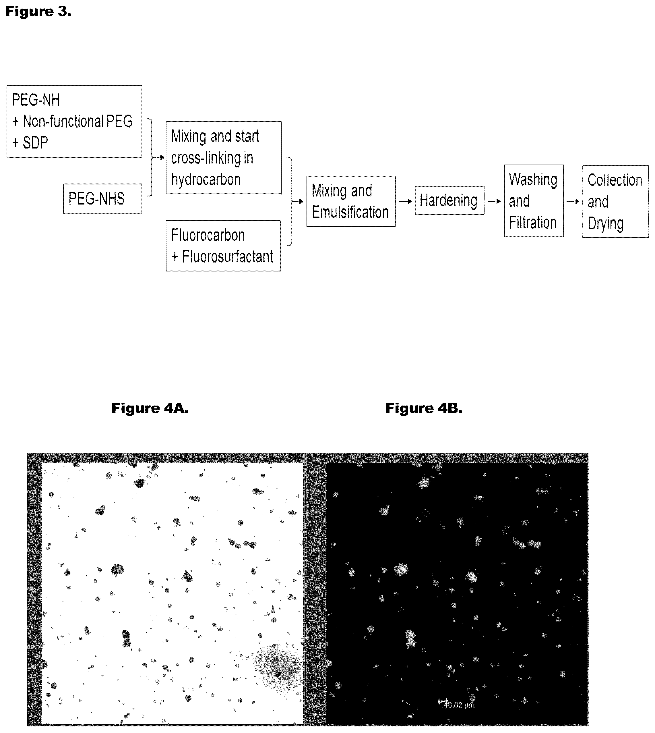 Patent US12350374 Figure 3 – Fabrication of protein-encapsulating microgels