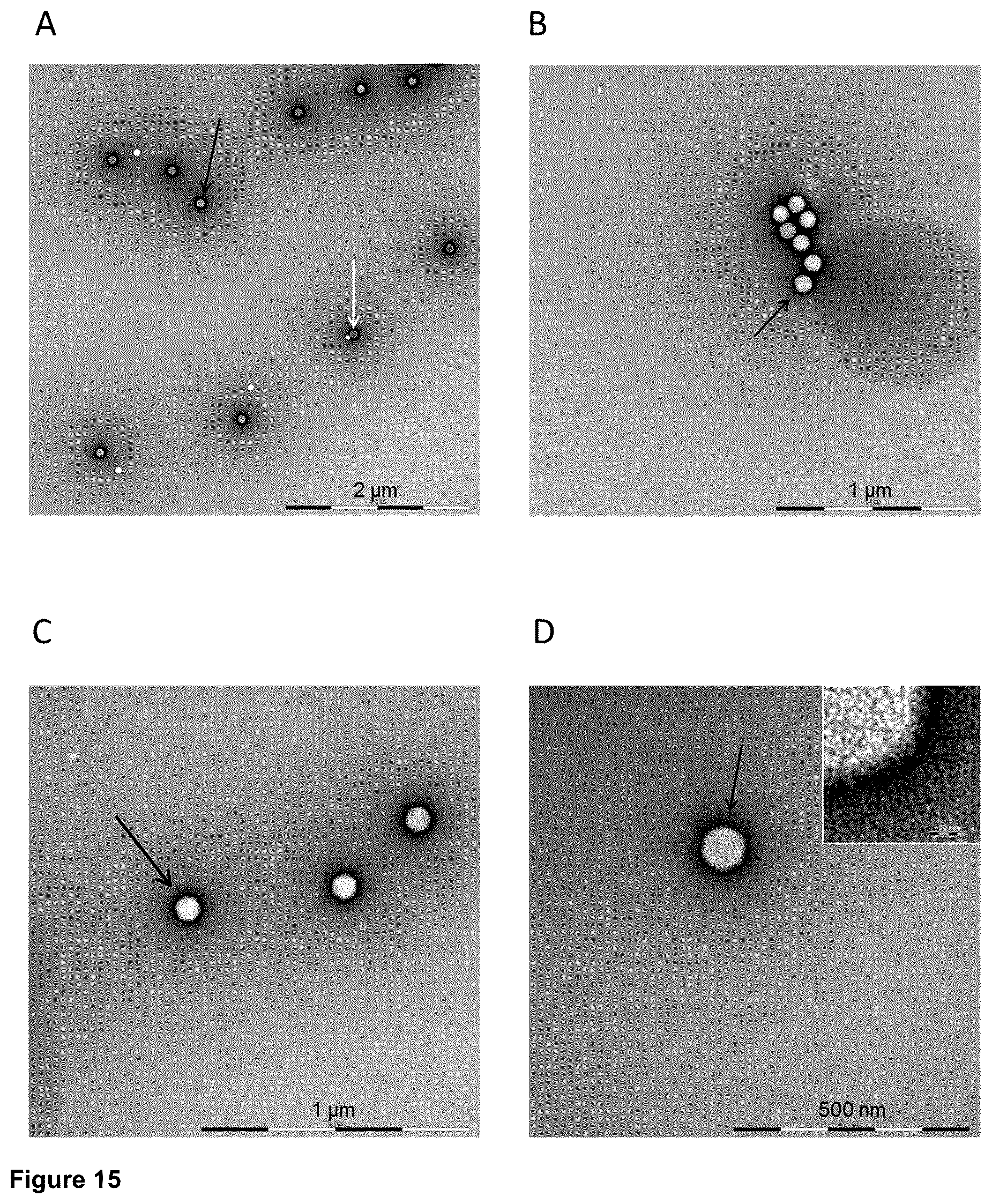Patent US12350375 Figure 18 – Method for obtaining efficient viral vector-based compositions for vaccination or gene therapy
