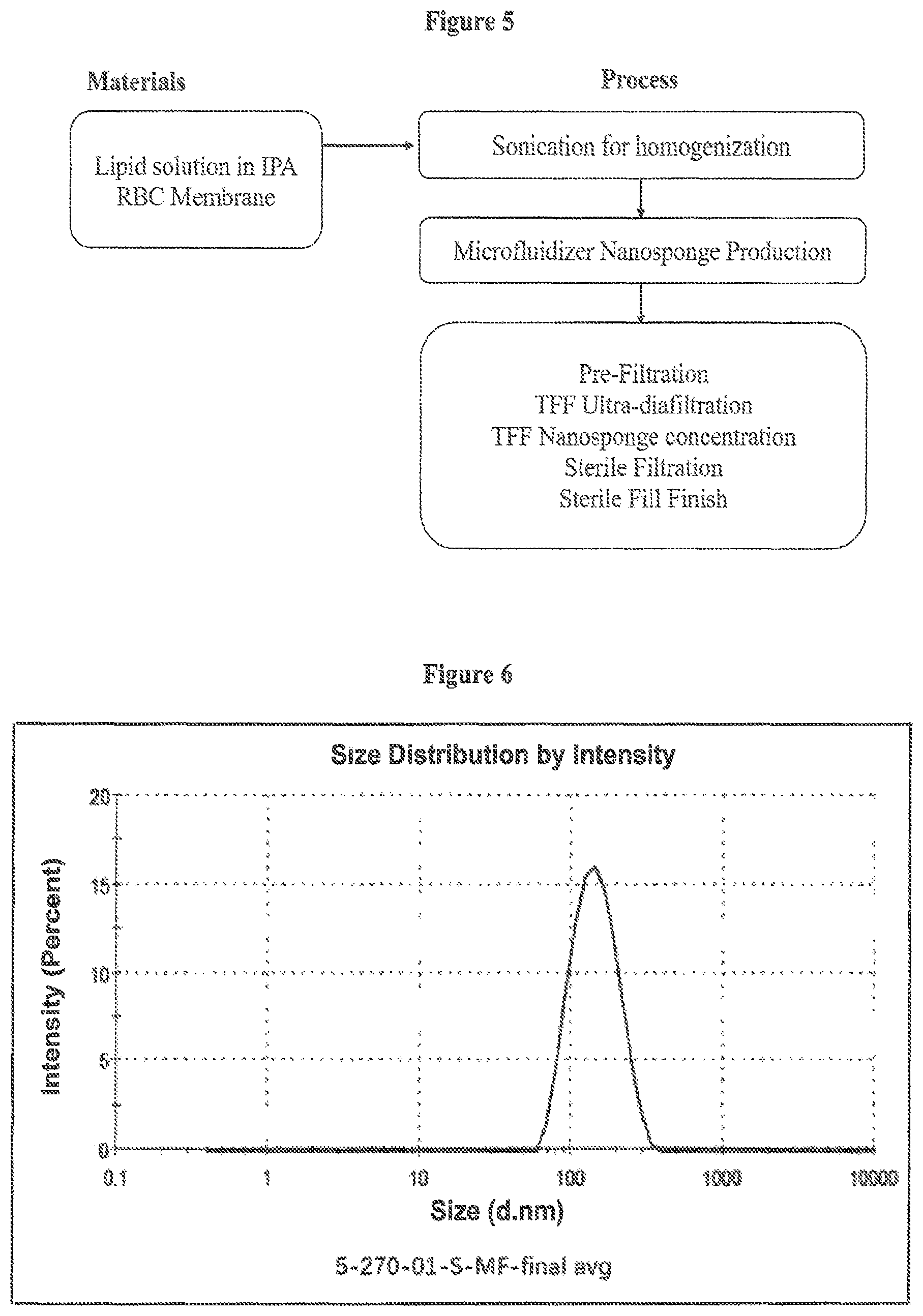 Patent US12350381 Figure 3 – Nanoparticles containing cellular membrane and uses thereof